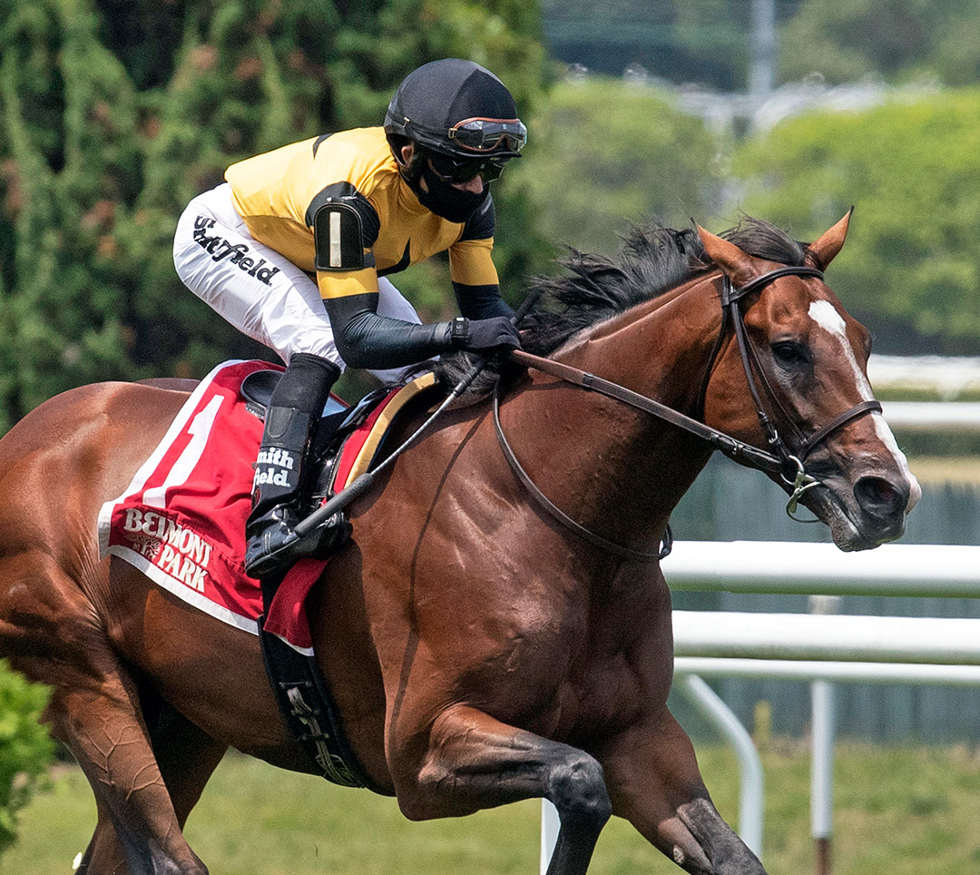 Decorated Invader wins the 2020 Pennine Ridge Stakes at Belmont Park