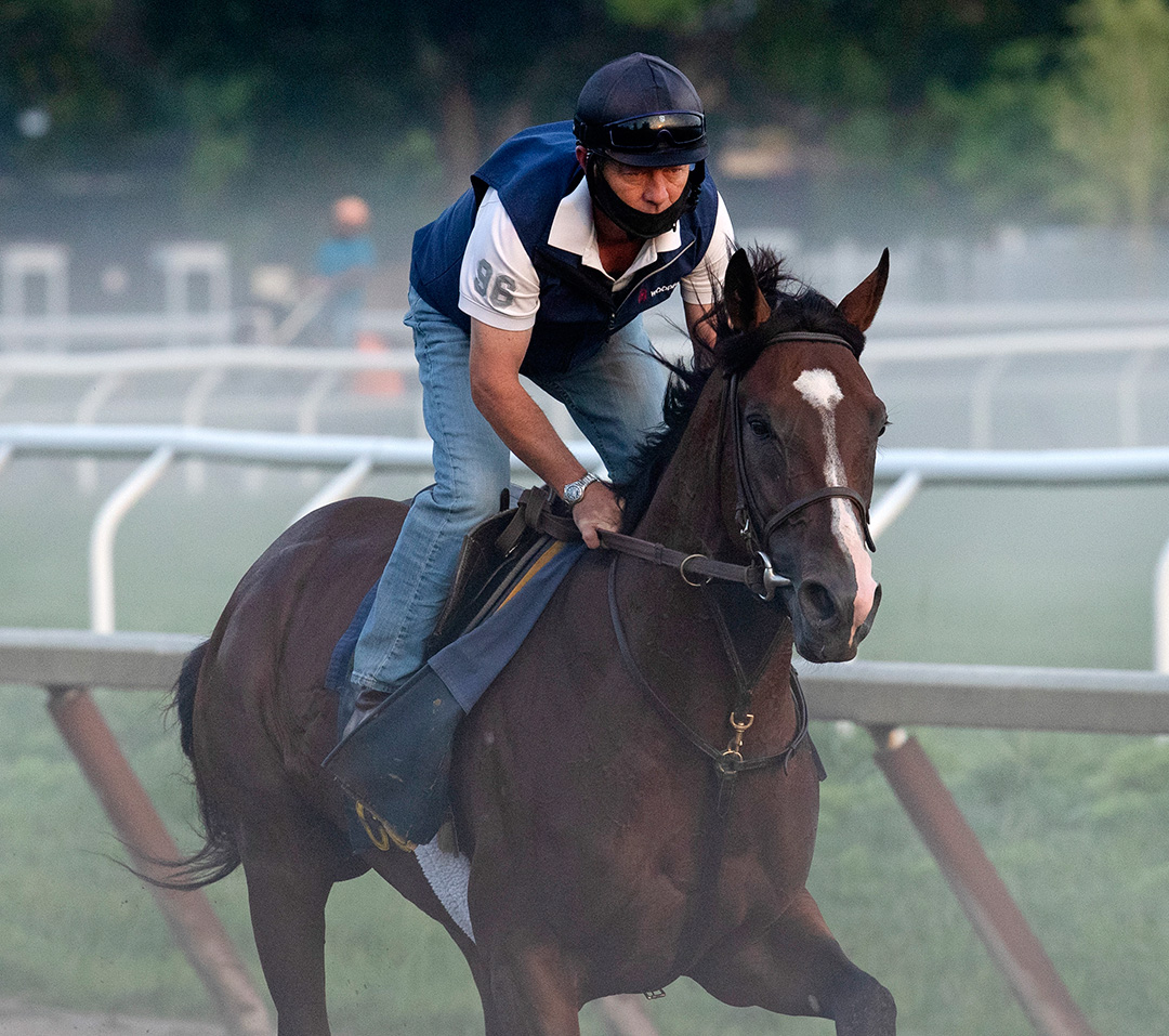 Decorated Invader trains at Saratoga Race Course on Aug. 13