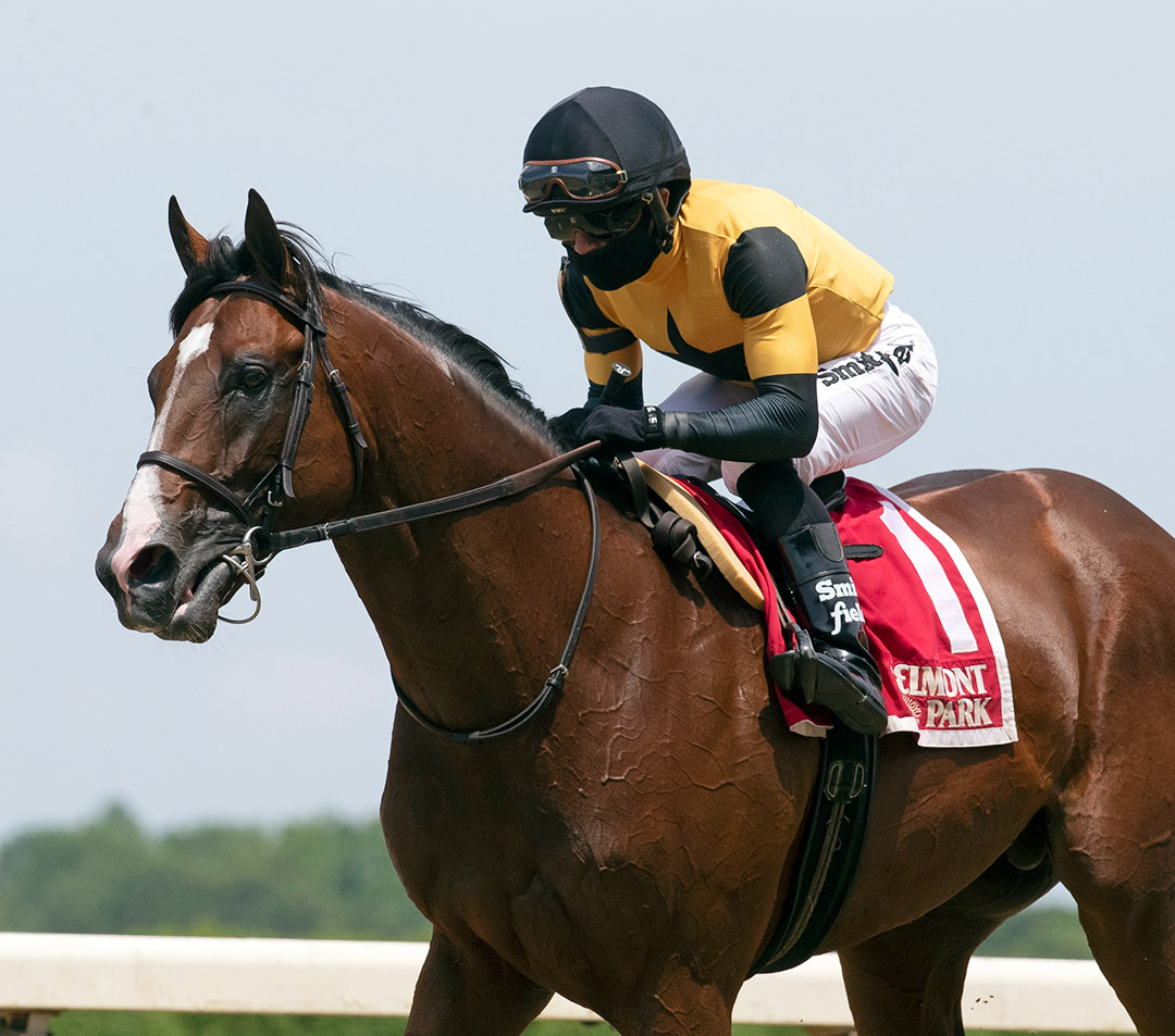 Decorated Invader wins the 2020 Pennine Ridge Stakes at Belmont Park