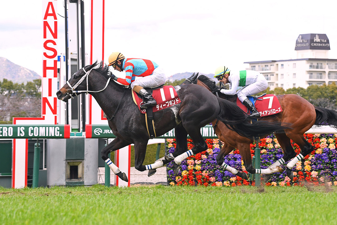 Deep Bond wins the 2022 Hanshin Daishoten at Hanshin Racecourse