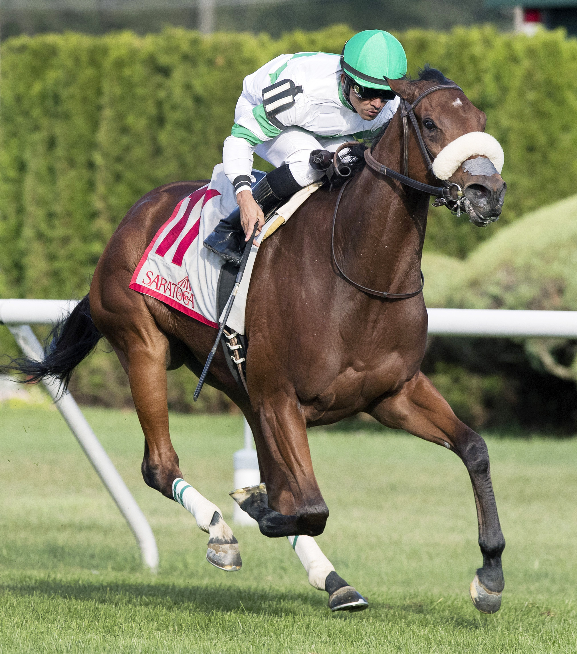 Defiant Honor wins the 2017 Riskaverse Stakes