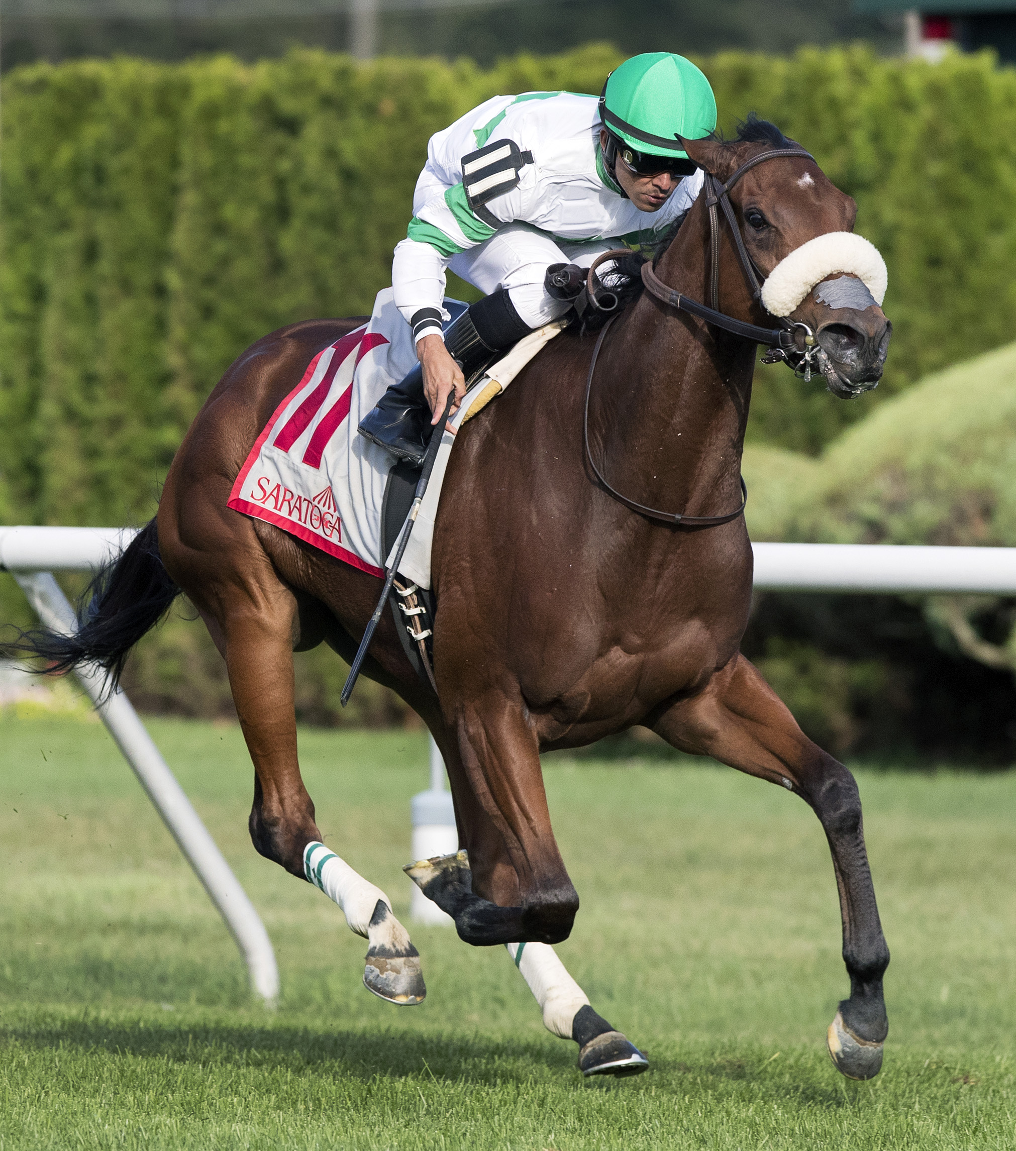 Defiant Honor wins the Riskaverse Stakes at Saratoga 8.24.17