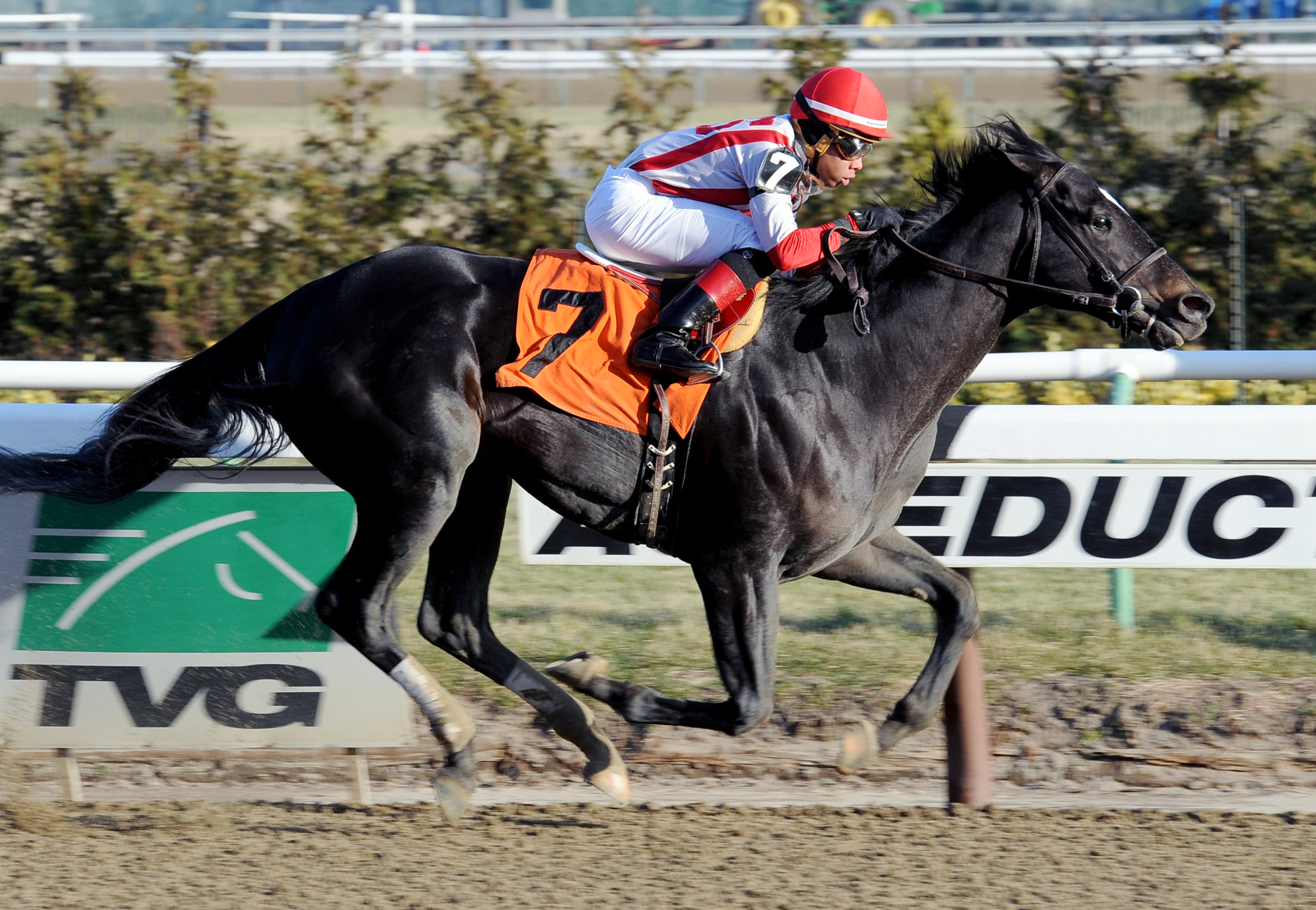 Deficit Hawk wins a maiden race