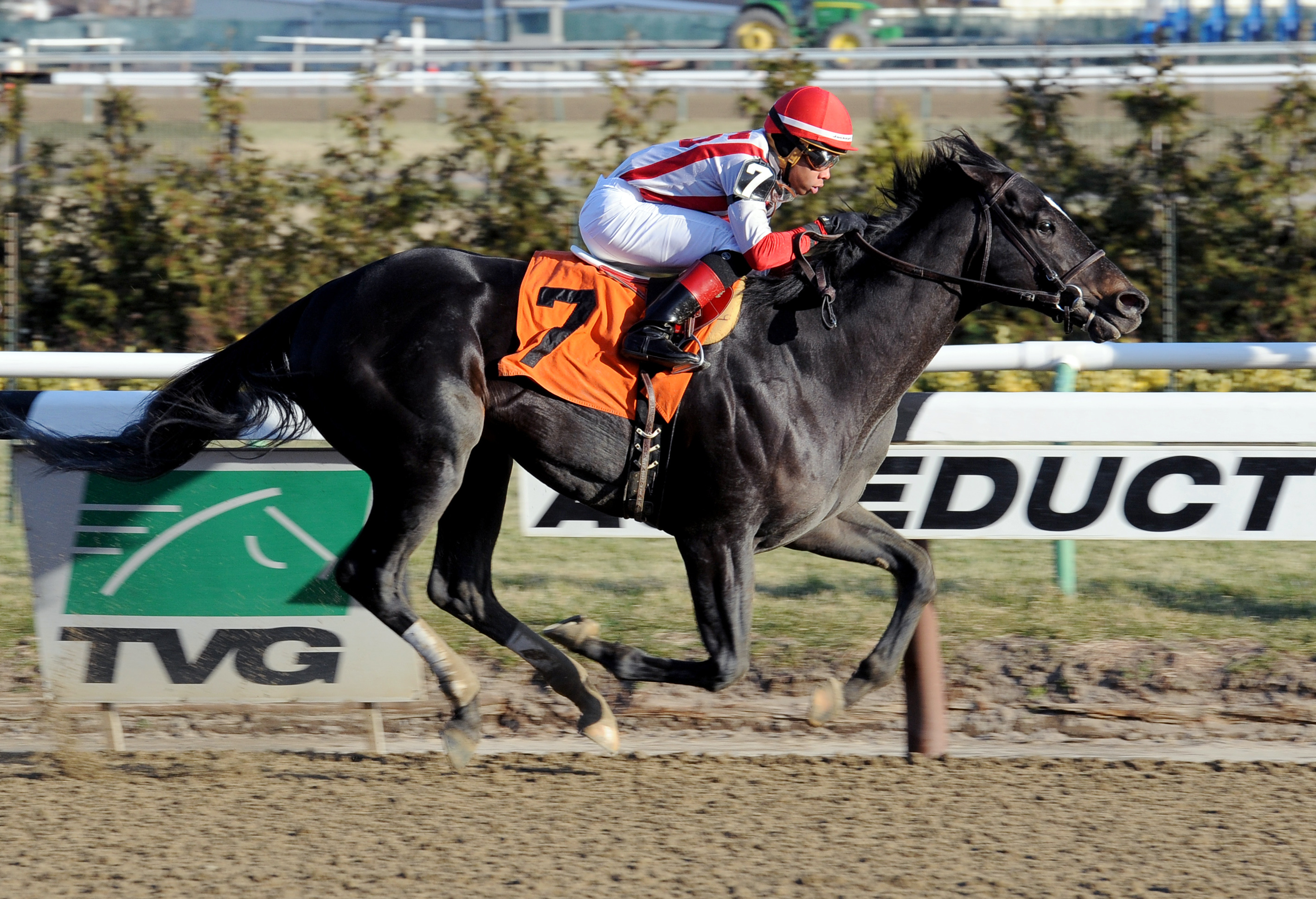 Deficit Hawk wins a maiden race