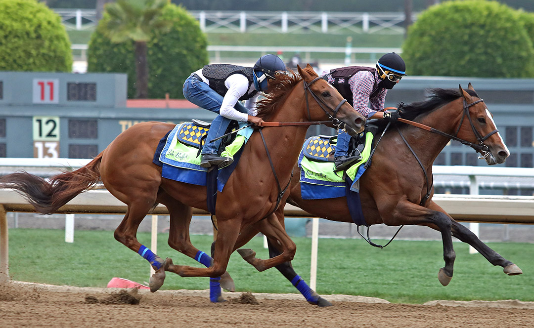 Defunded (outside) and Classier train at Santa Anita Park on May 28, 2021