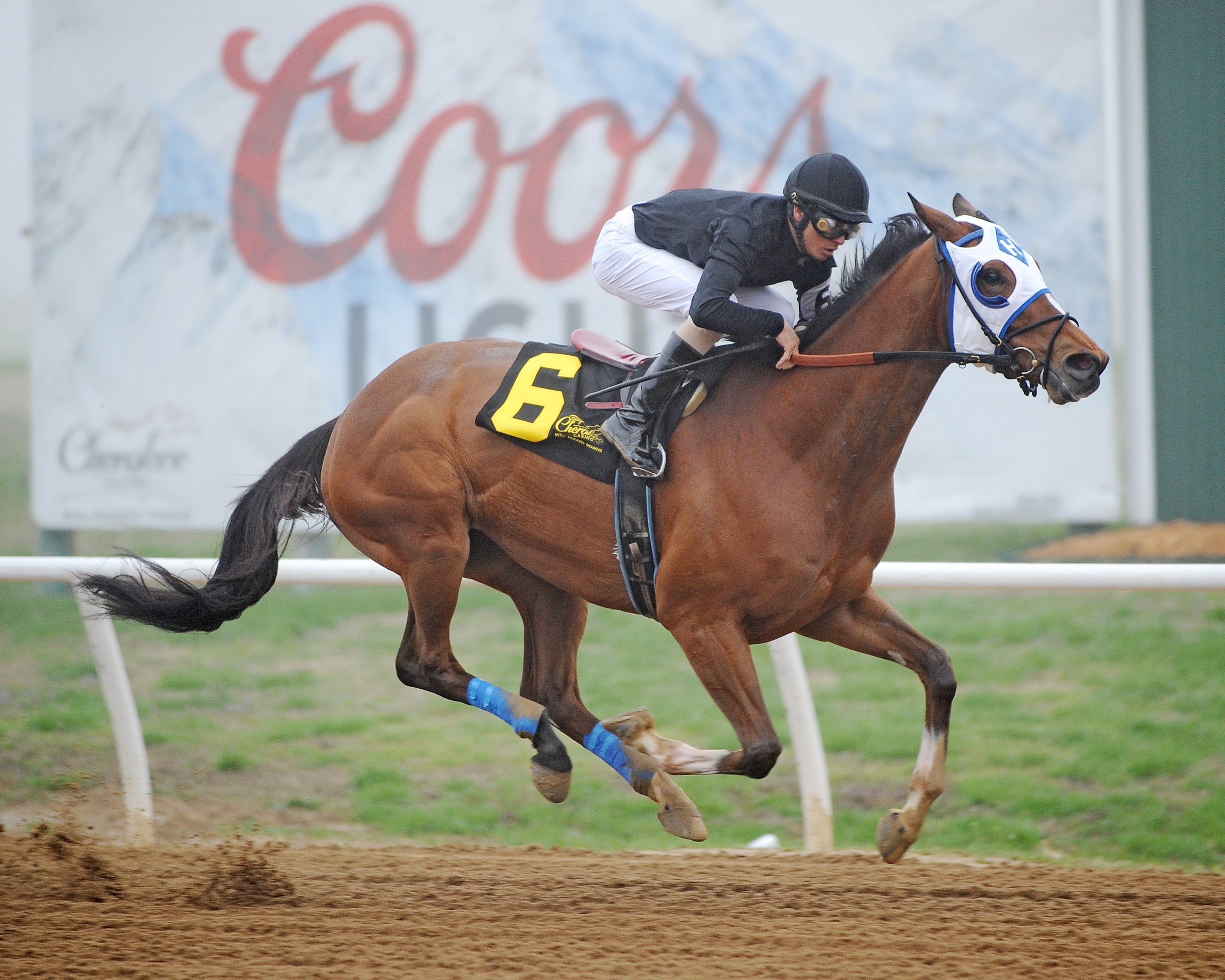 Defy wins the 2018 Miranda Diane Stakes