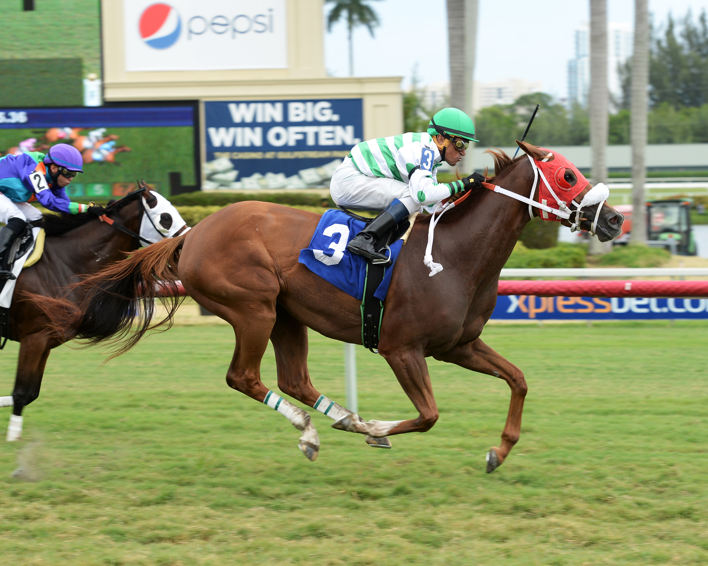 Defying Gravity wins an optional claiming race on Aug. 24