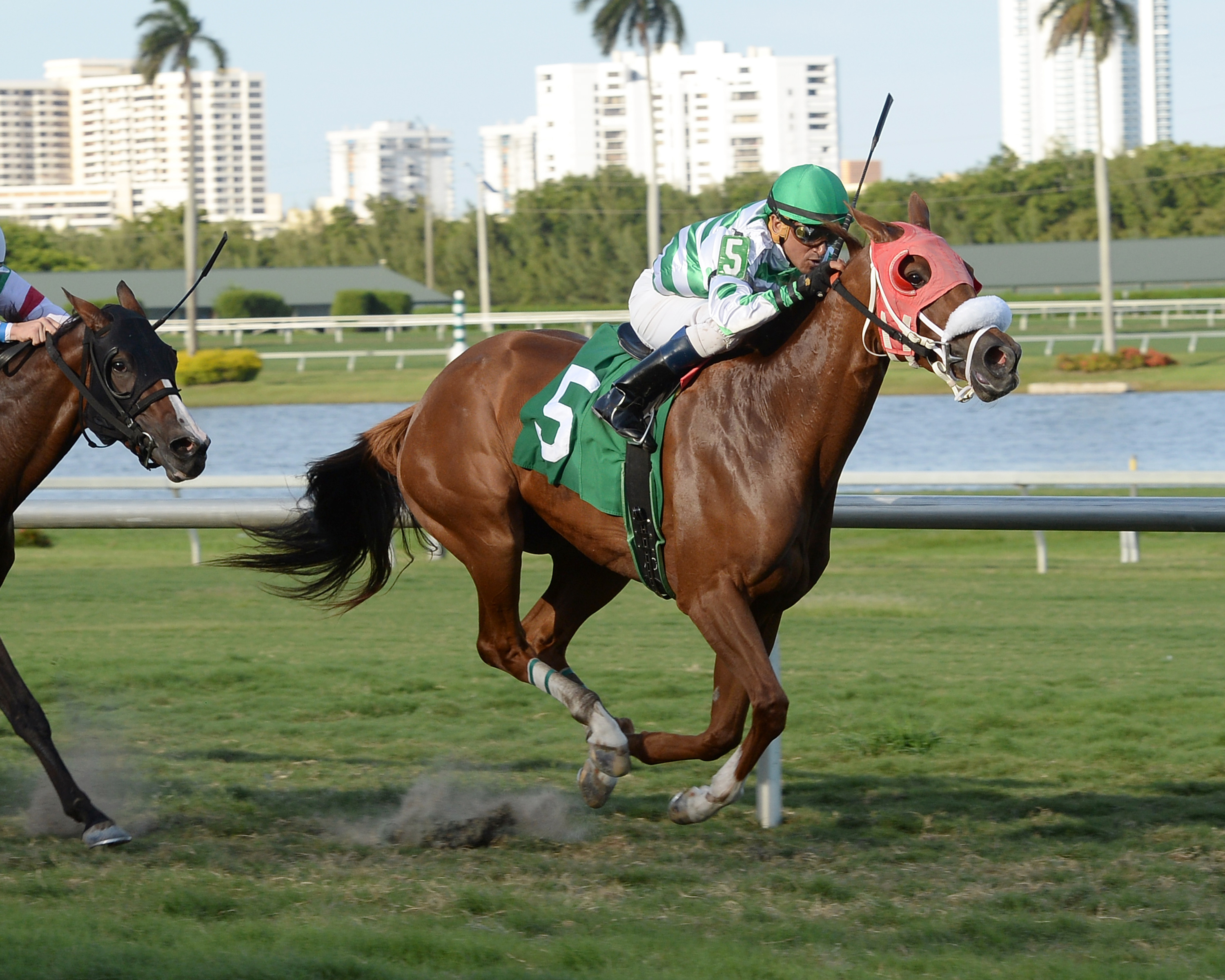 Defying Gravity wins an optional claiming race on Sept. 18