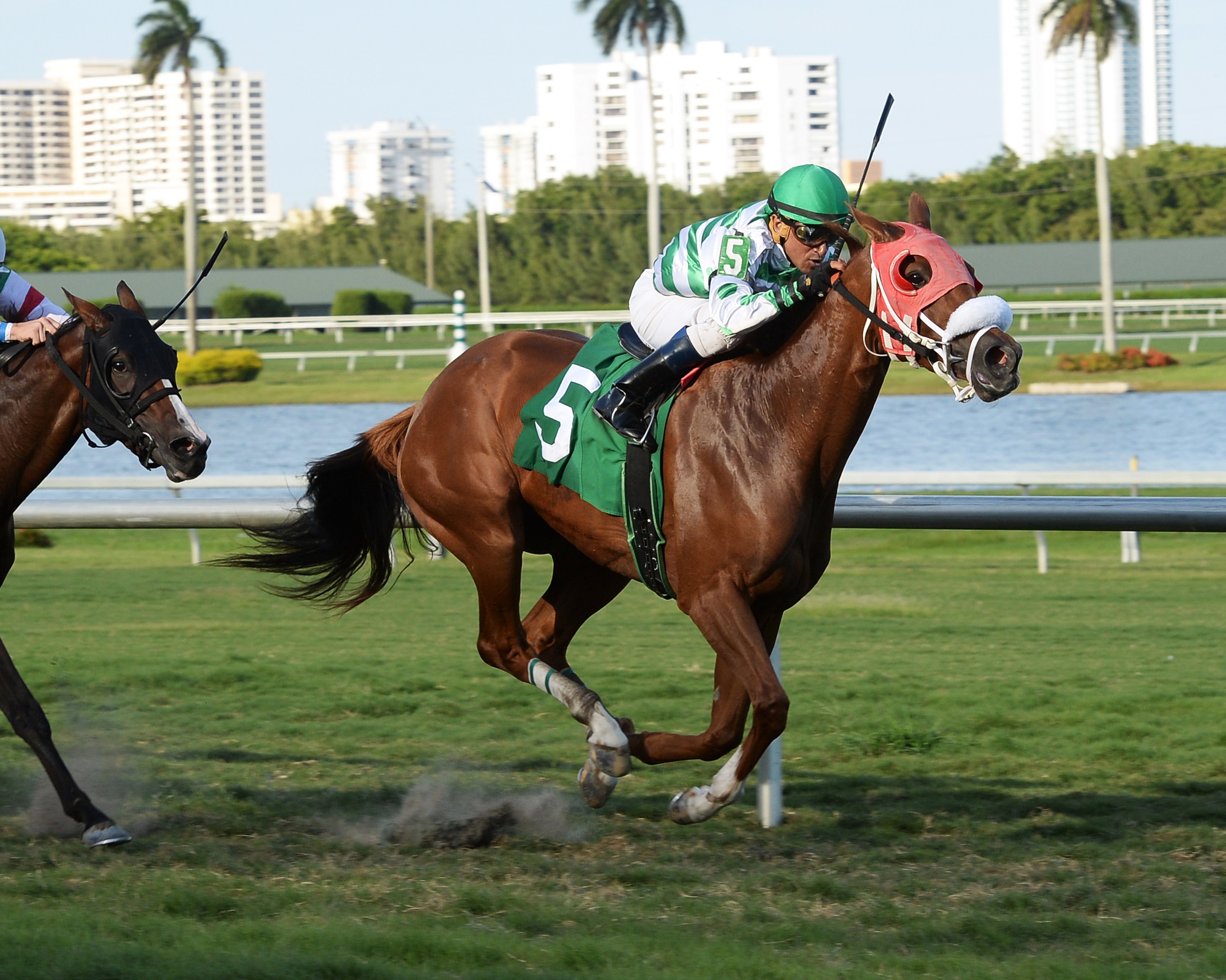 Defying Gravity wins an optional claiming race on Sept. 18