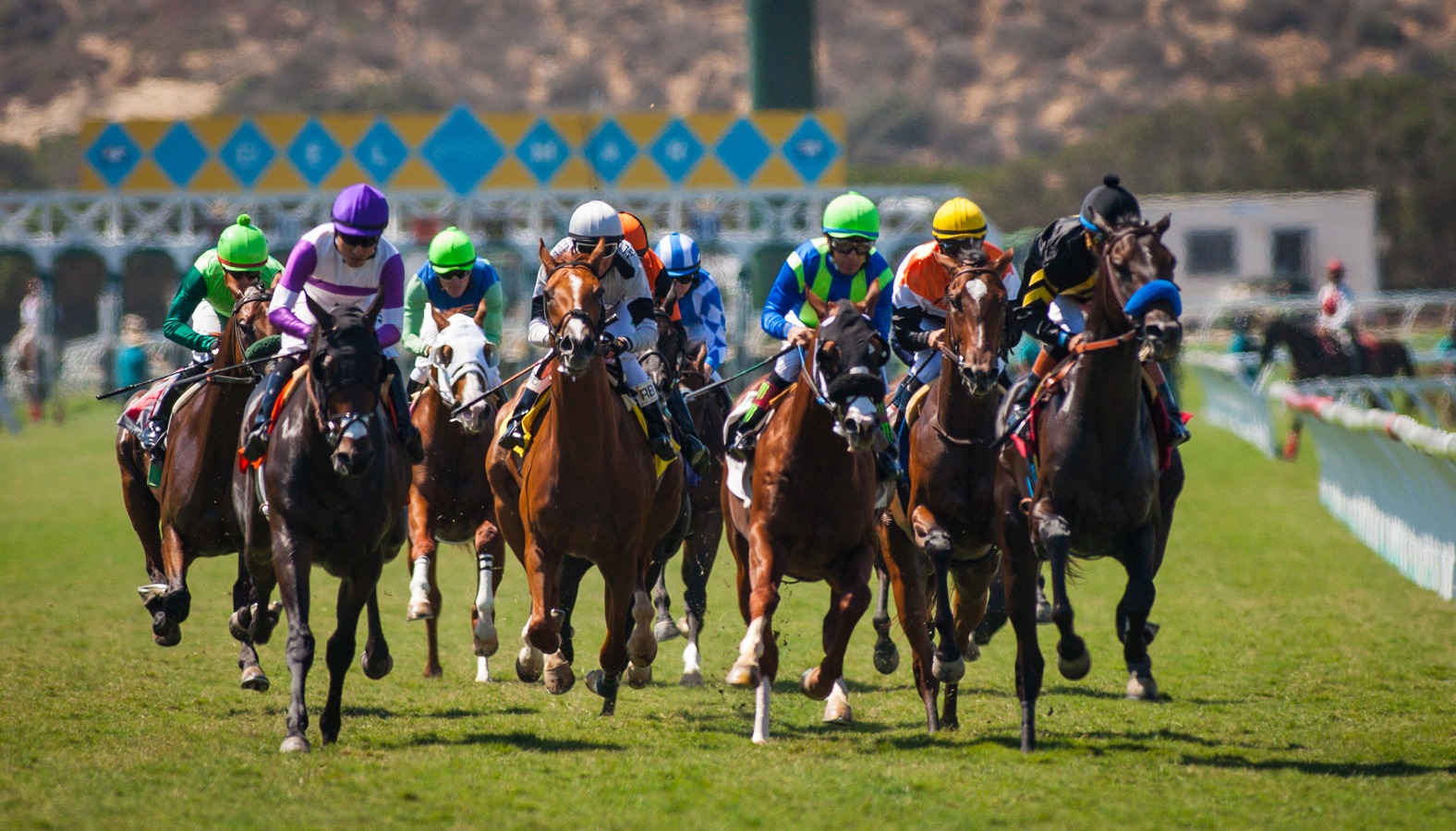 Del Mar - Turf Course