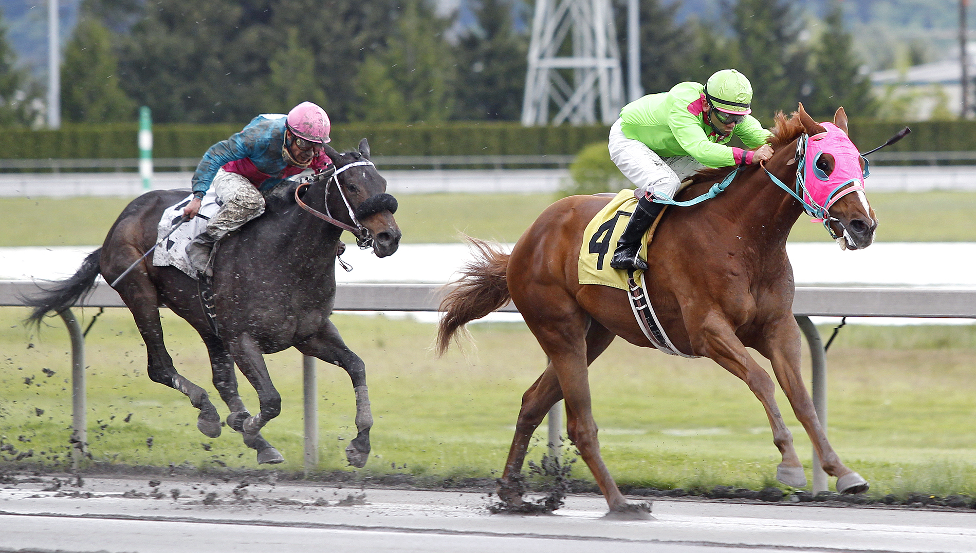 Del Rio Harbor wins an allowance