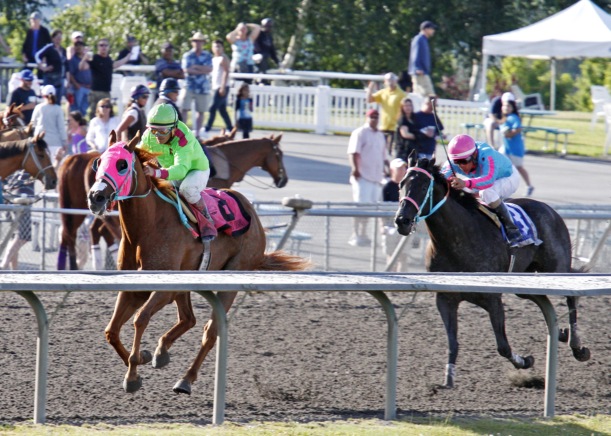 Del Rio Harbor wins the Coca-Cola Handicap