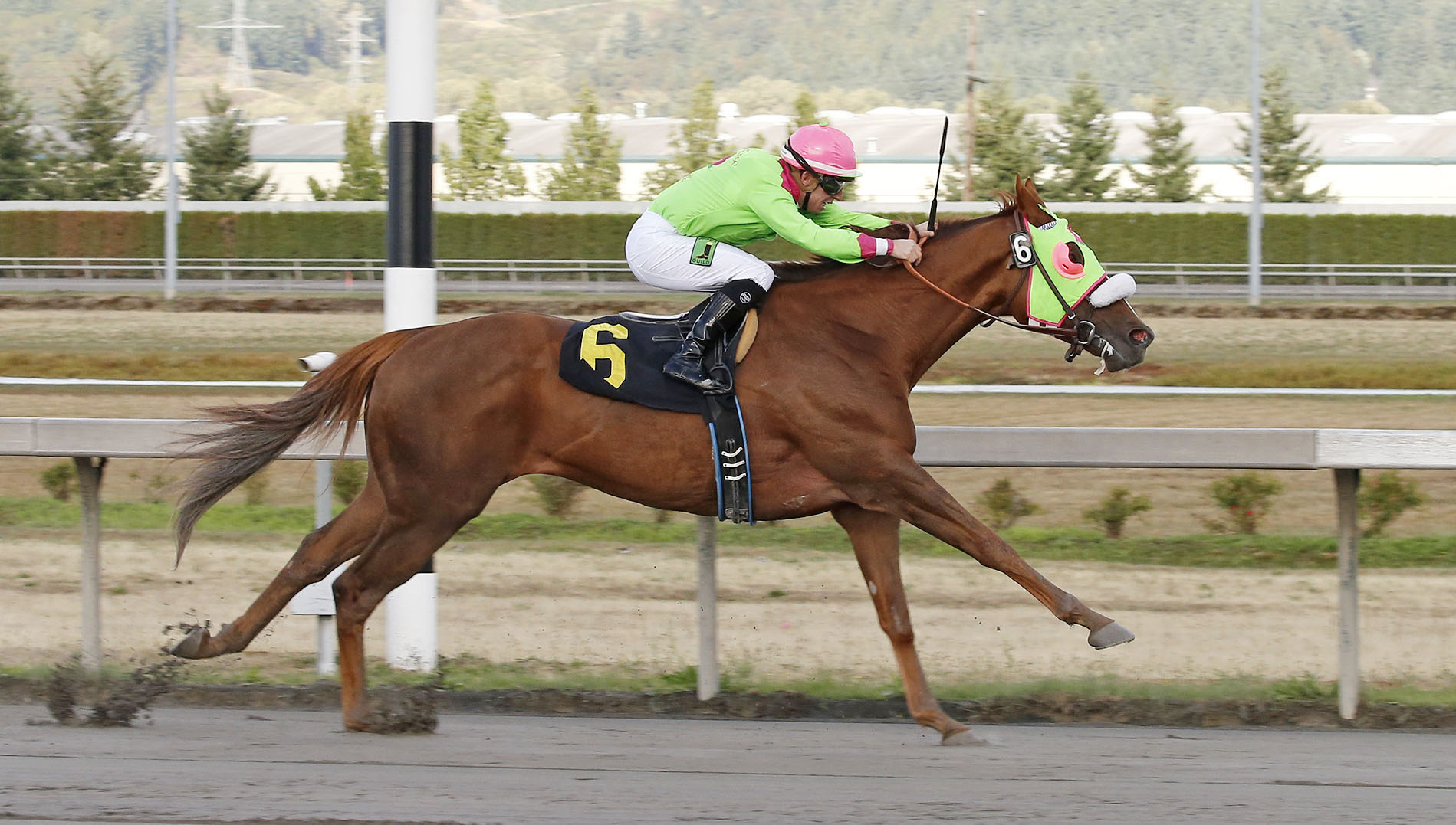 Del Rio Harbor wins an allowance race at Emerald Downs
