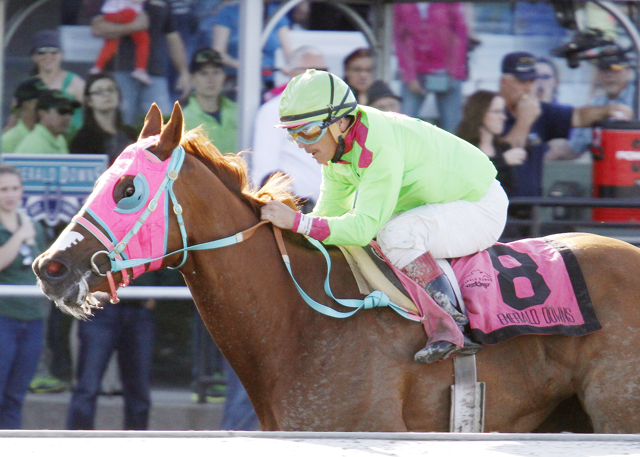 Del Rio Harbor wins the Coca-Cola Handicap