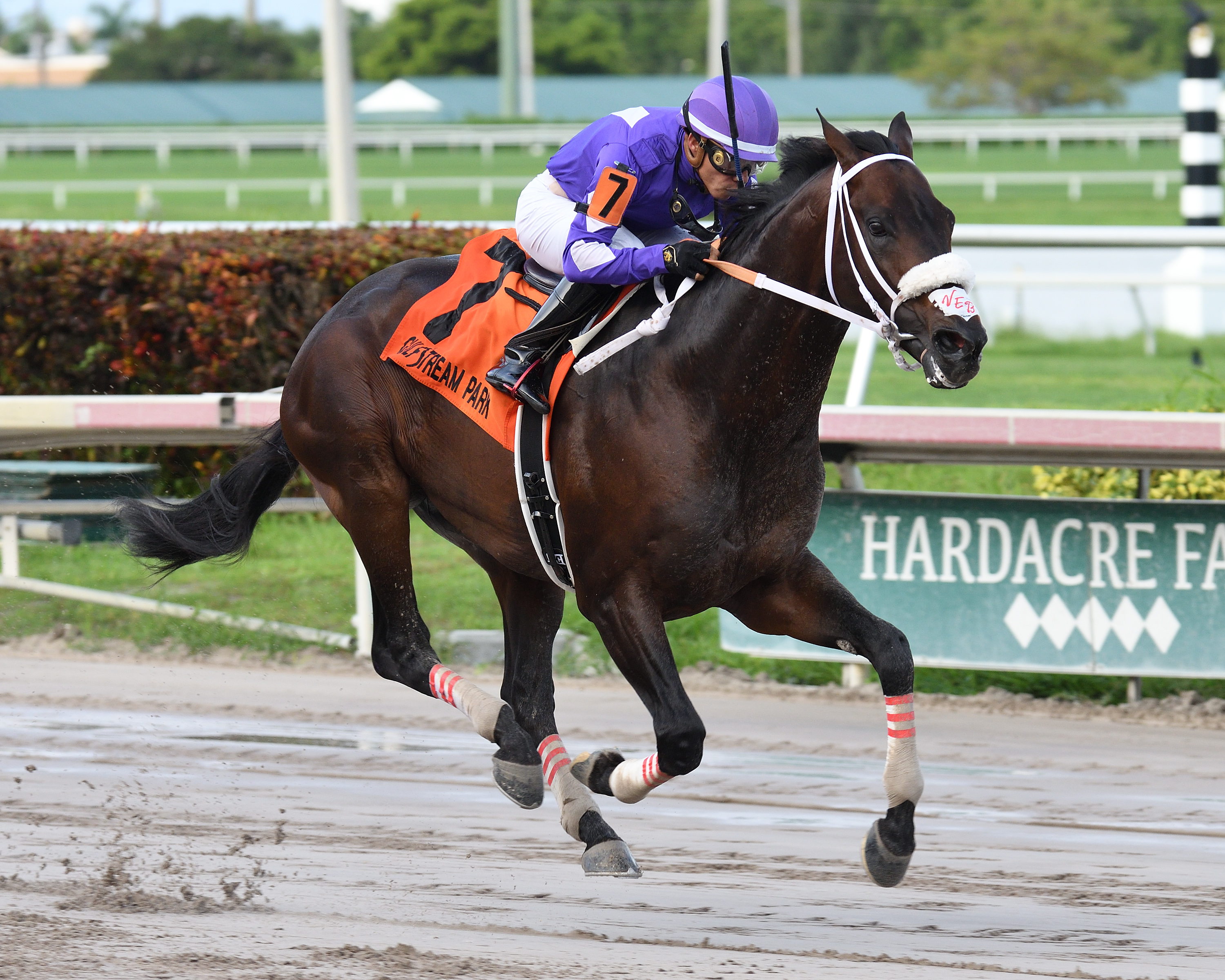 Deland wins the 2018 Mo Exception Stakes