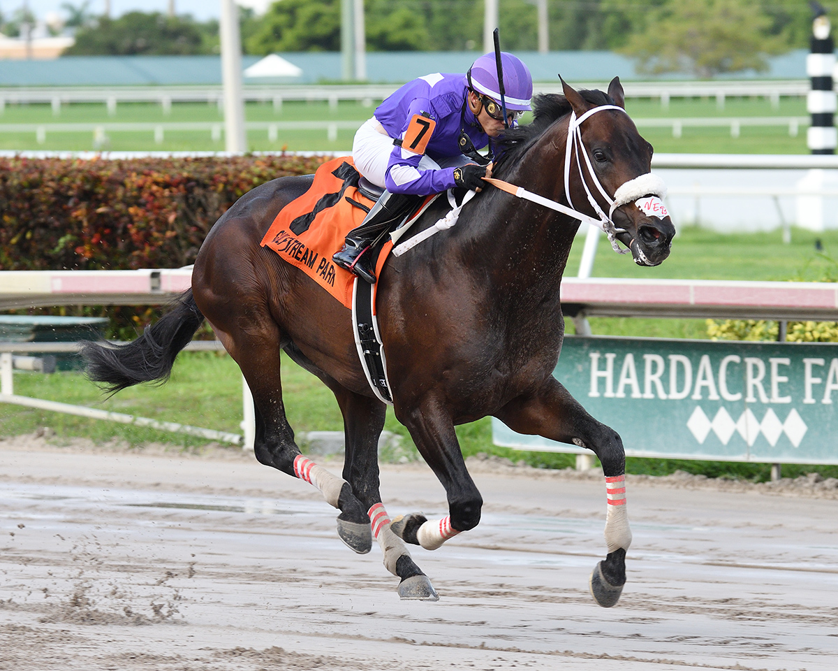 Deland wins the 2018 Mo Exception Stakes