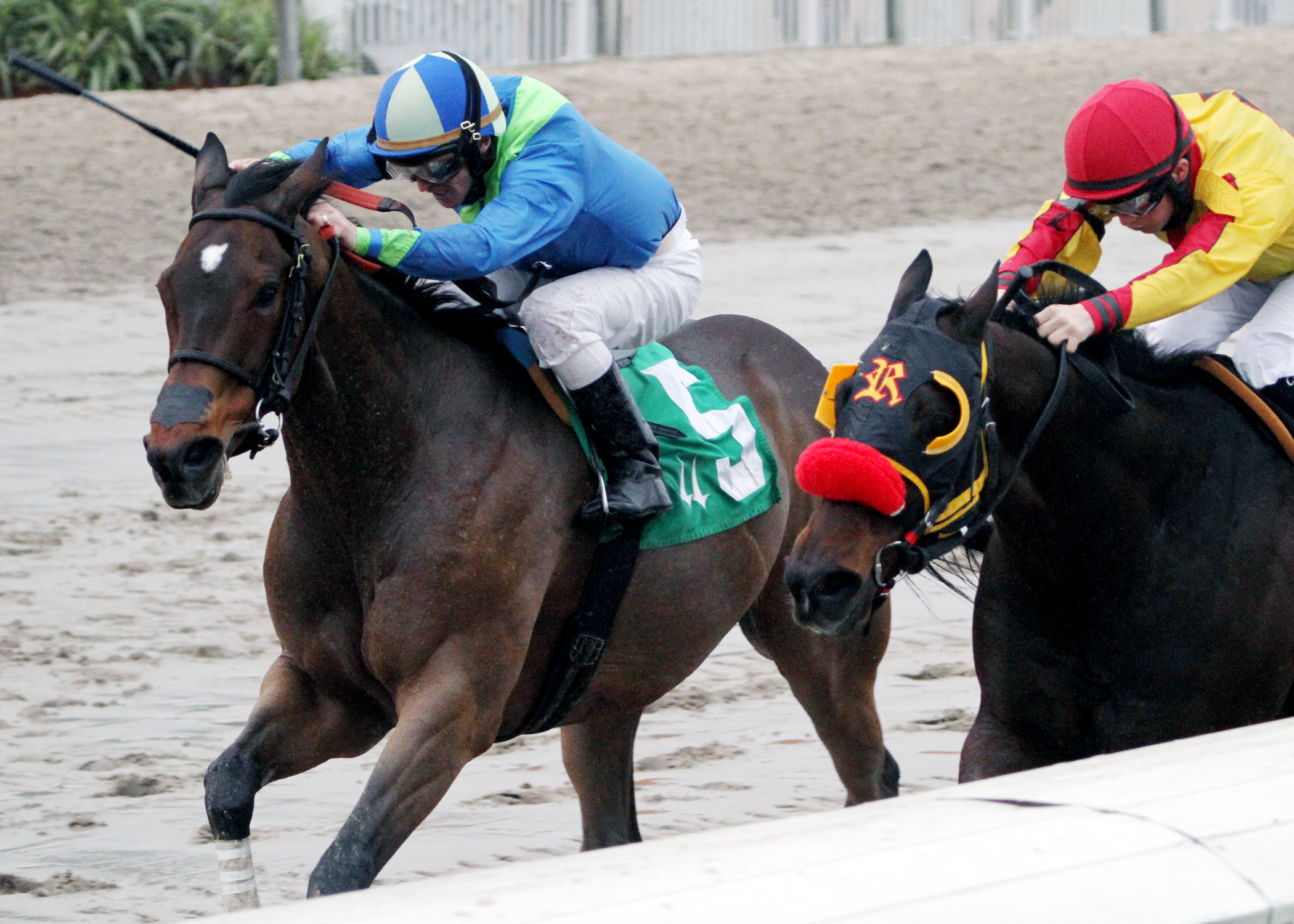 Delaunay wins the Bonapaw Stakes