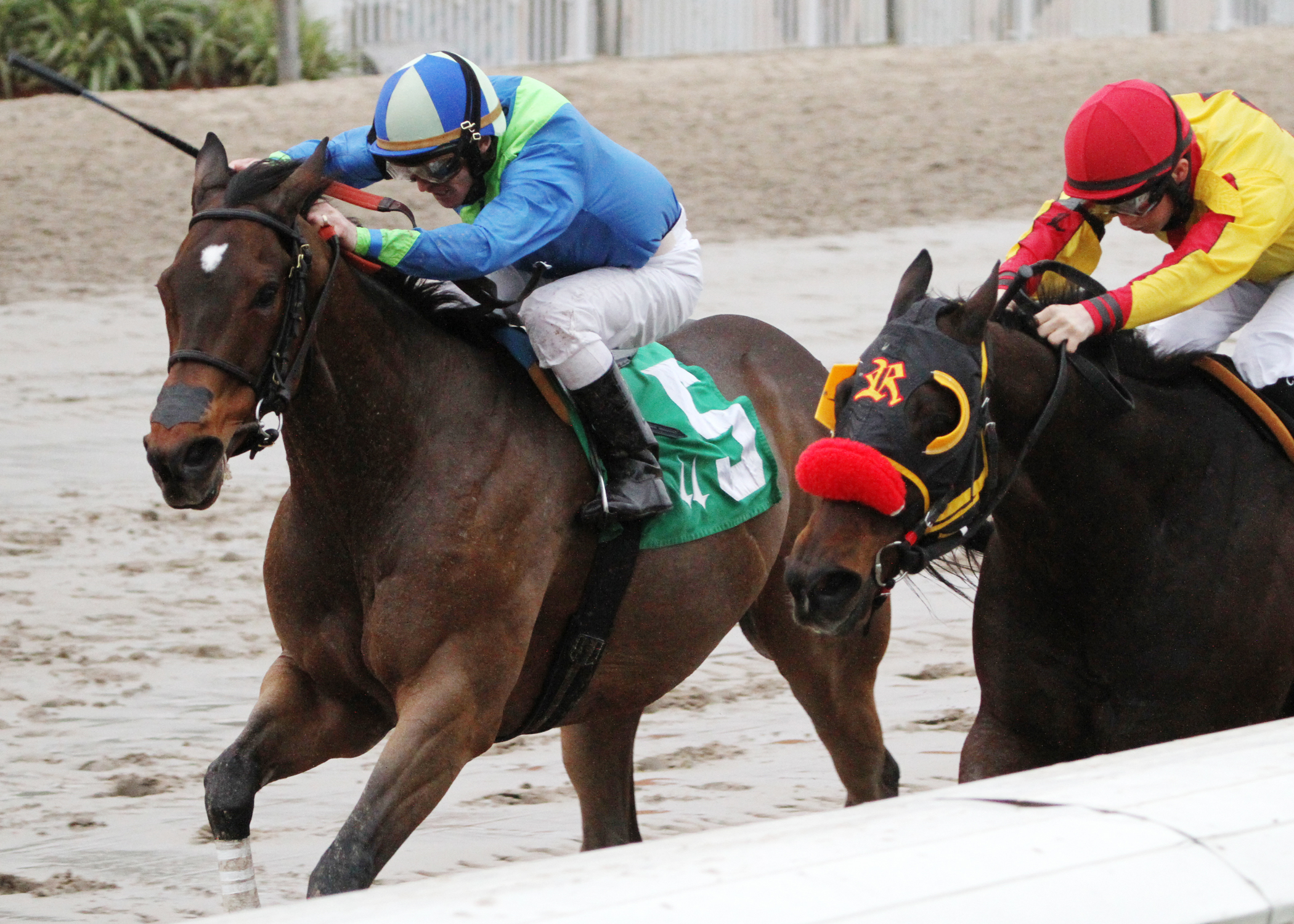 Delaunay wins the Bonapaw