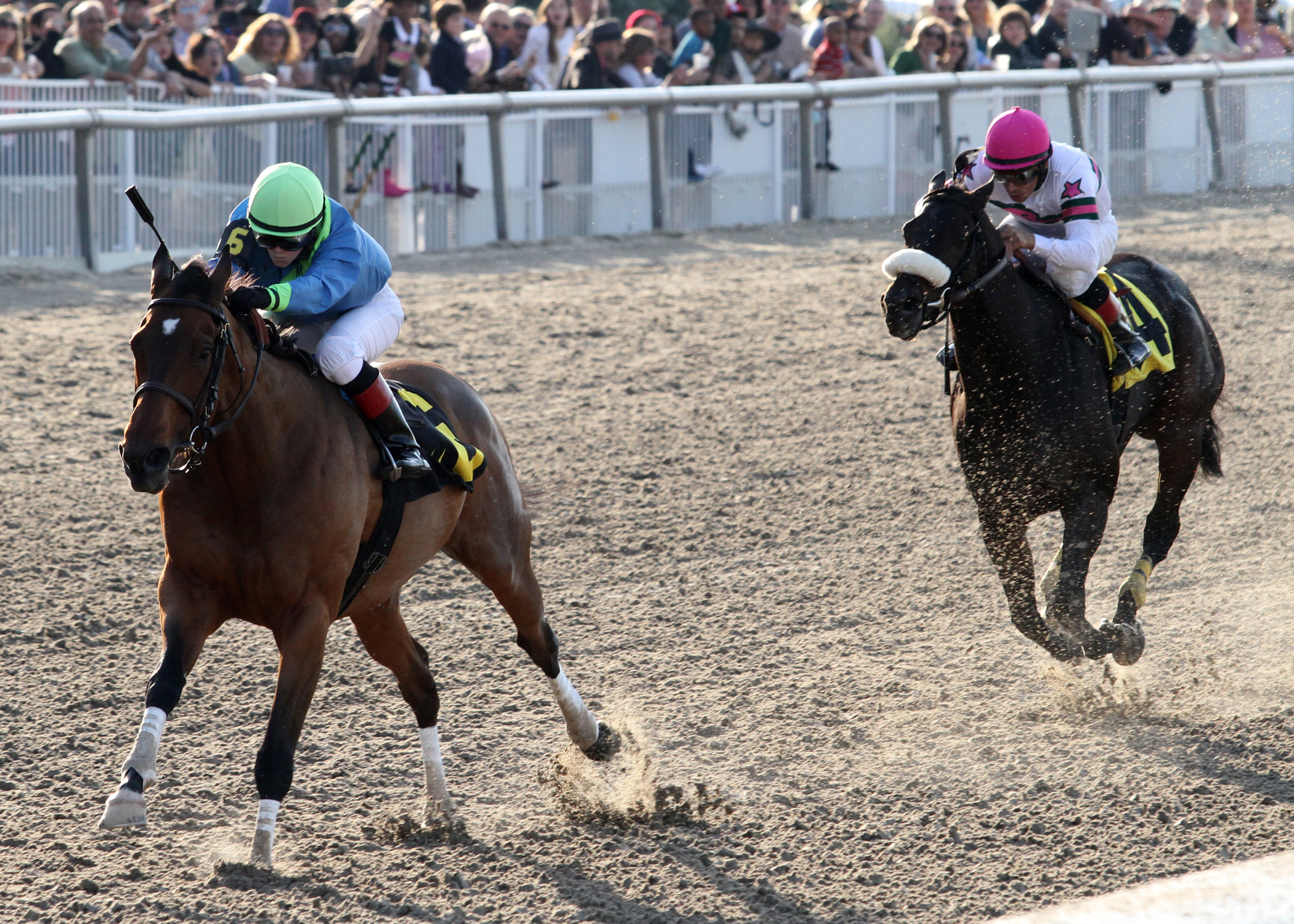 Delauney, Gantry, Thanksgiving Handicap