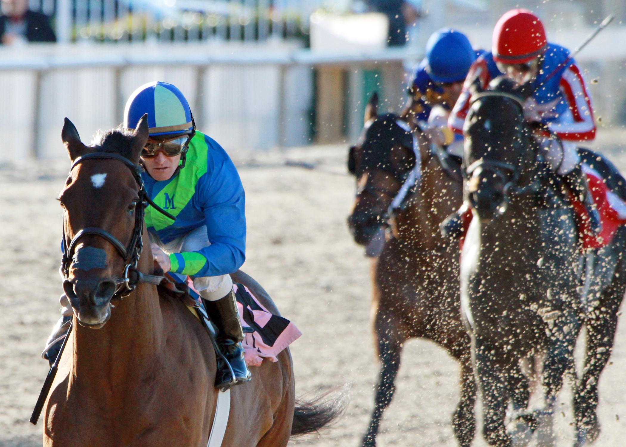 Delaunay wins the Thanksgiving Handicap