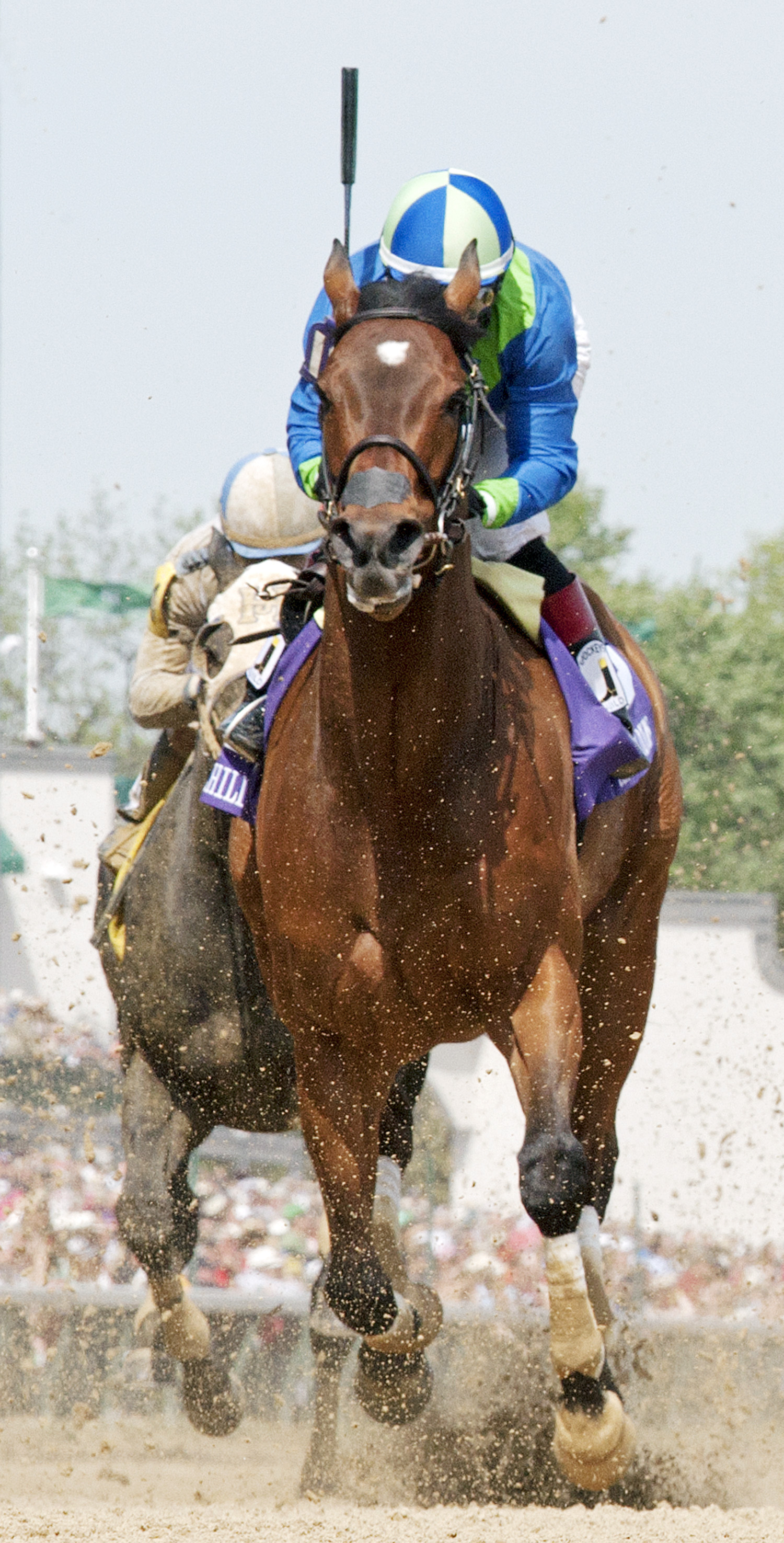 Delaunay finishes fifth in the Churchill Downs Stakes