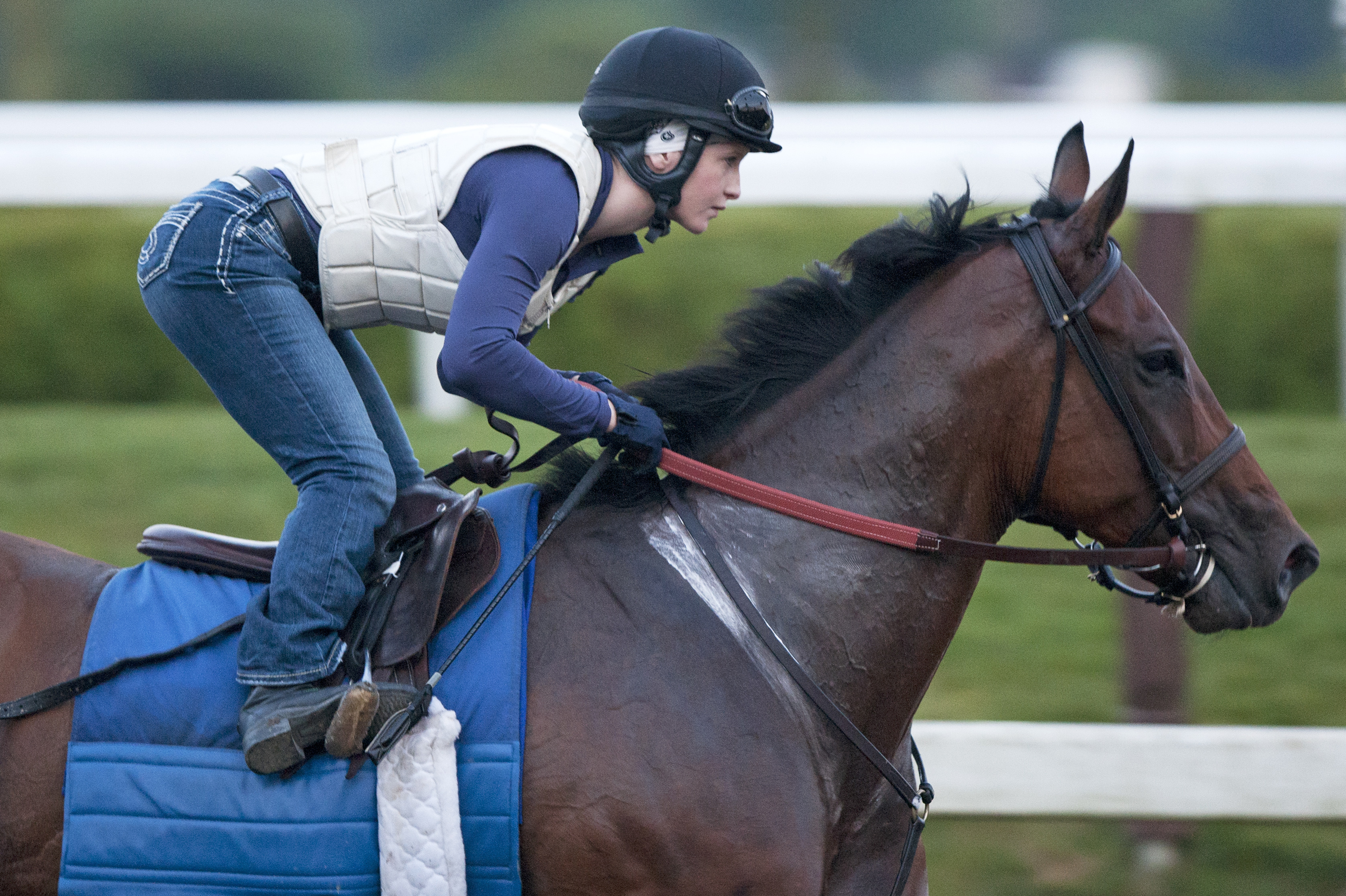 Delaunay, July 20, 2013