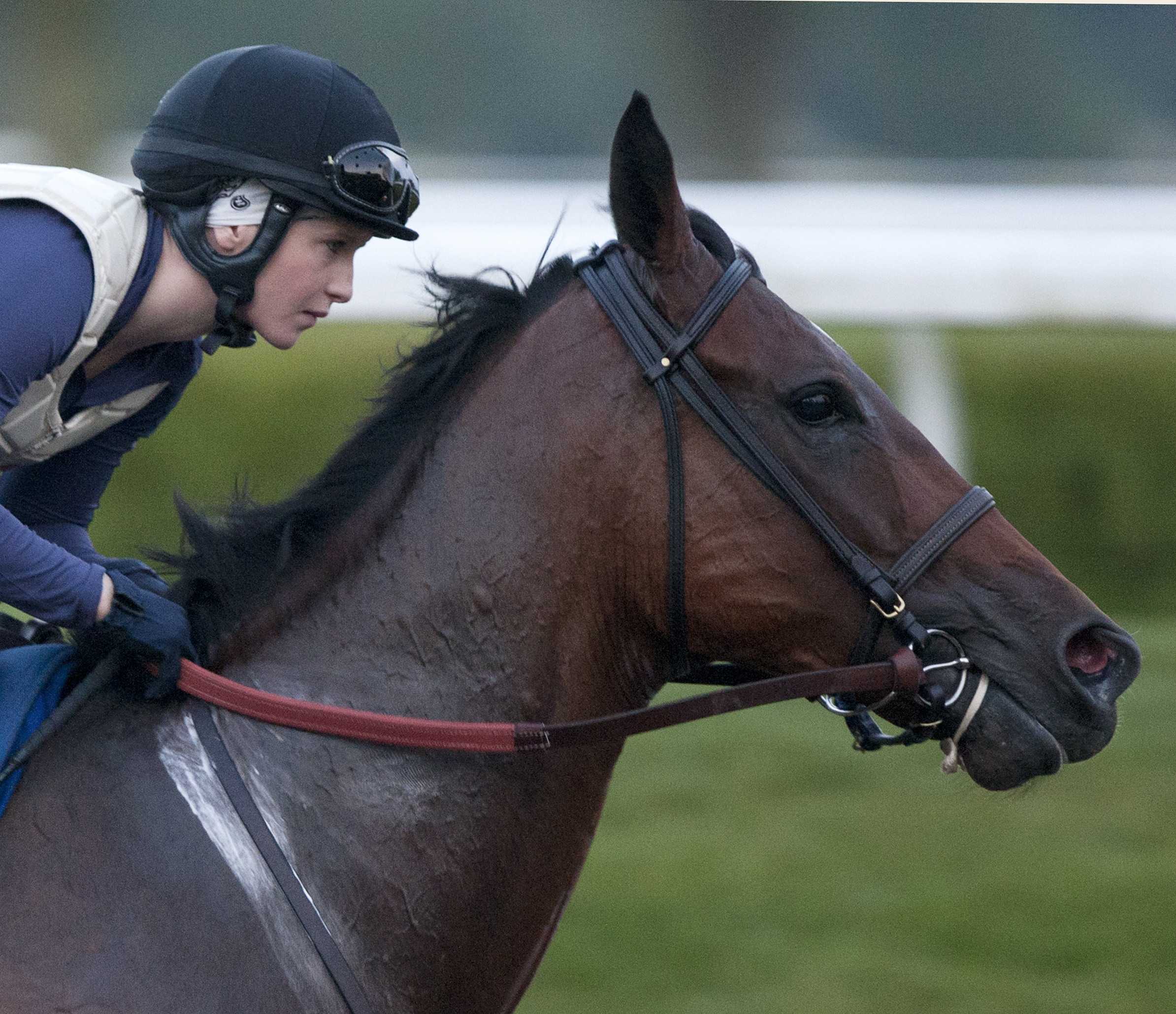 Delaunay, July 20, 2013