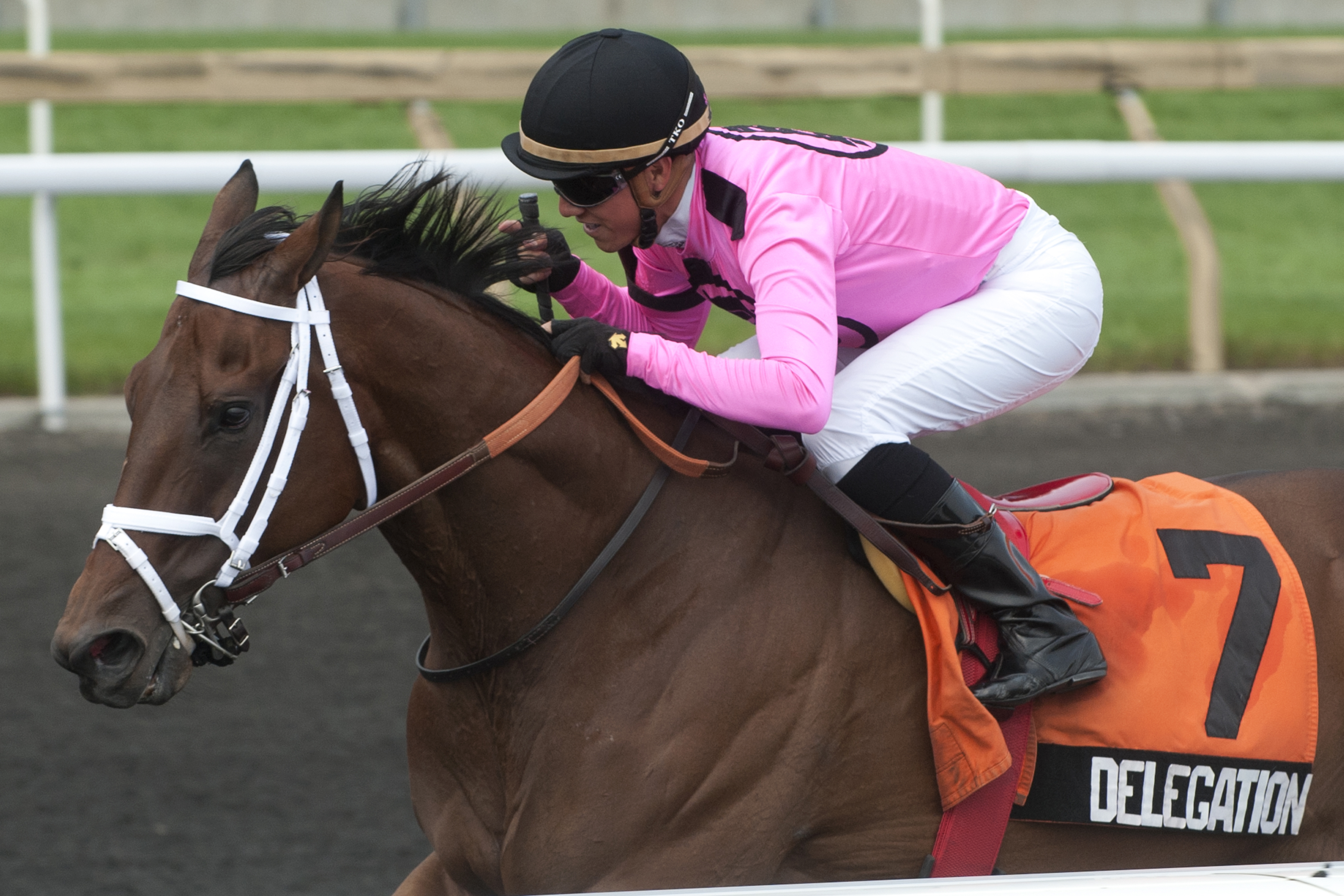 Delegation, Dominion Day Stakes
