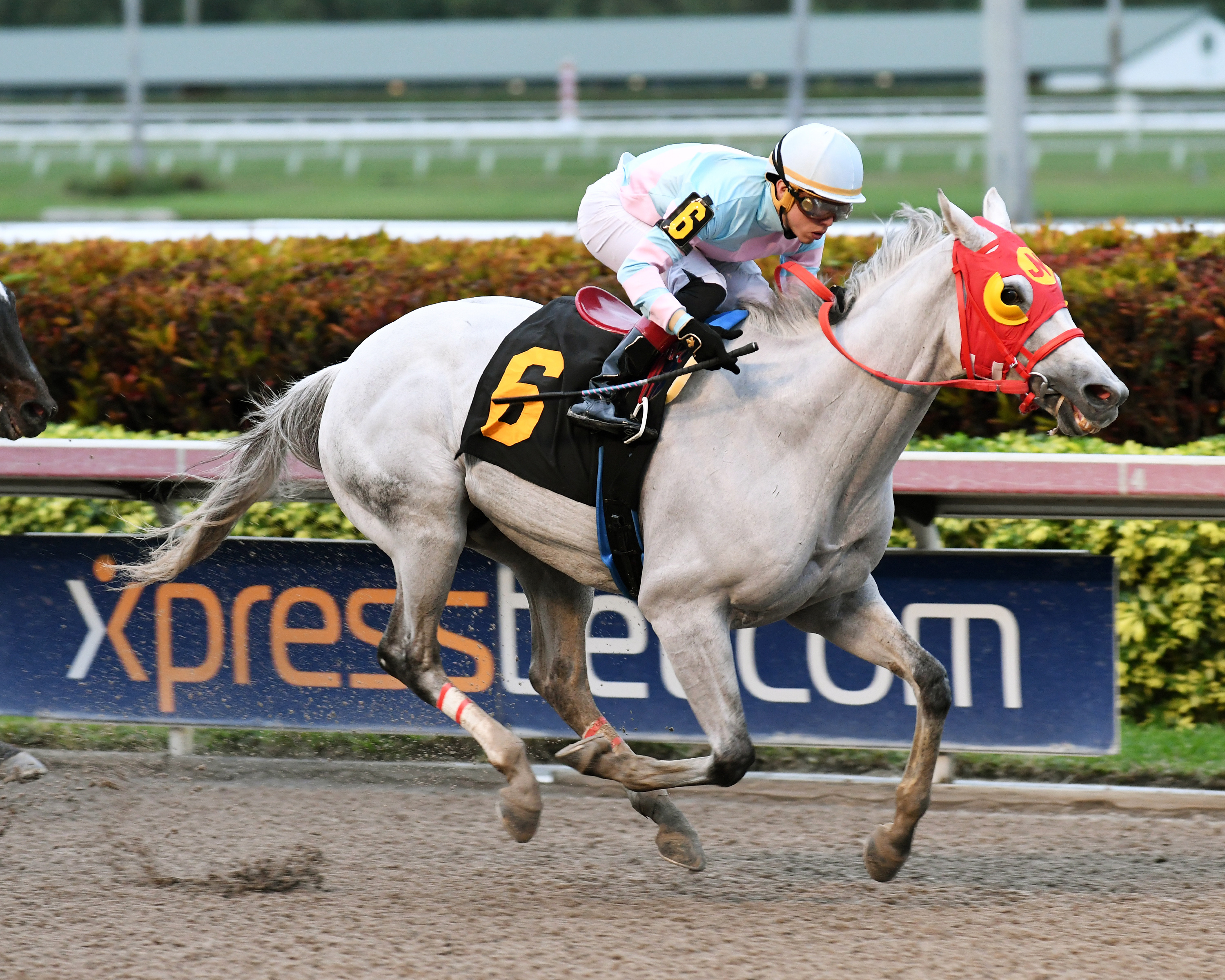 Delta Bluesman wins a Jan. 12 allowance at Gulfstream Park