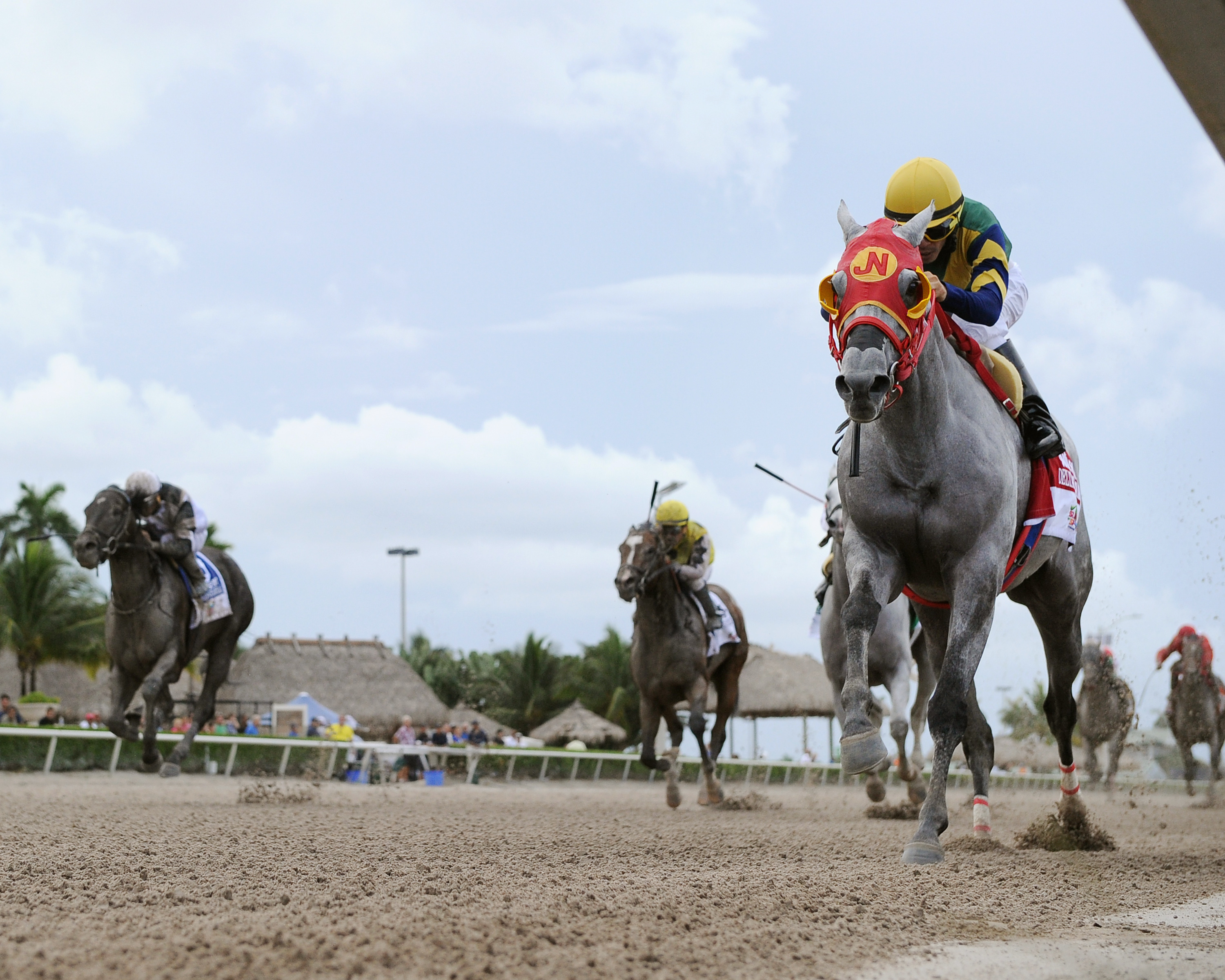 Delta Bluesman wins the Smile Sprint