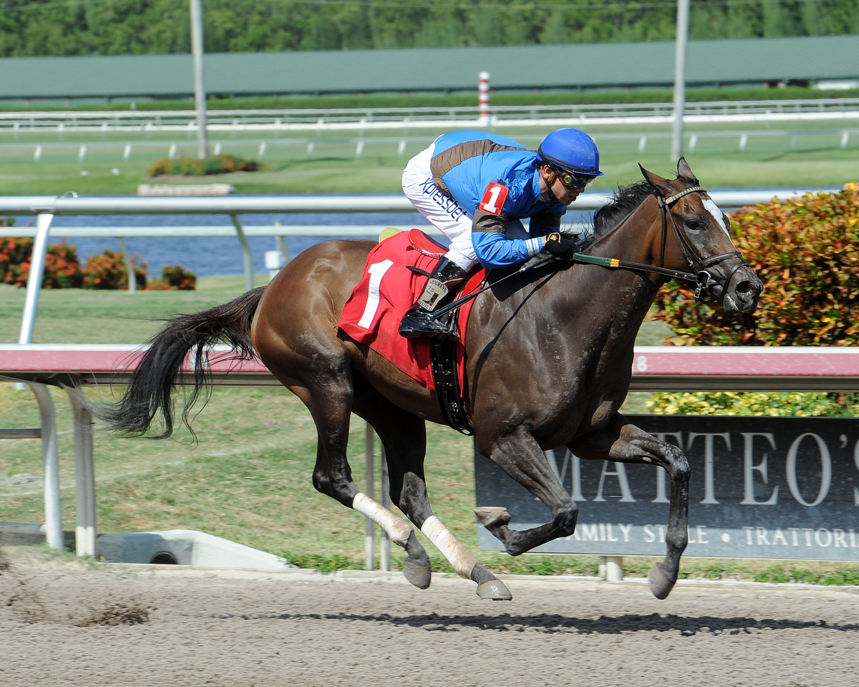 Delta Girl wins a maiden race