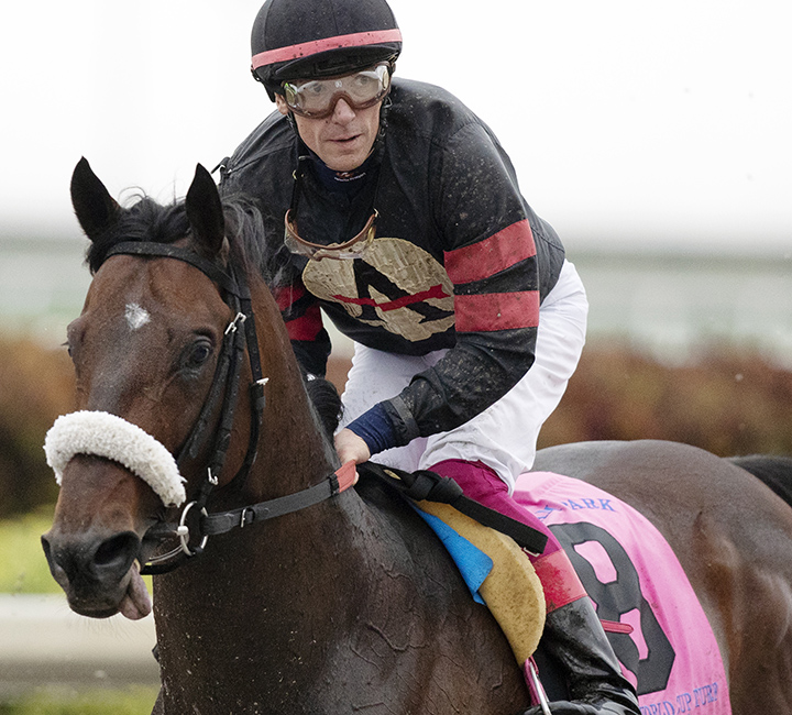 Delta Prince at the Pegasus World Cup