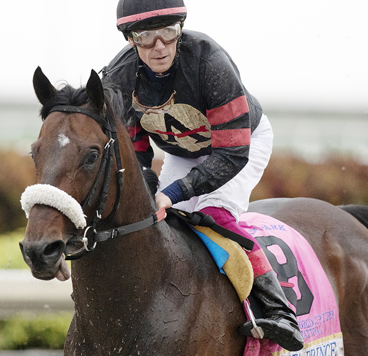 Delta Prince at the Pegasus World Cup