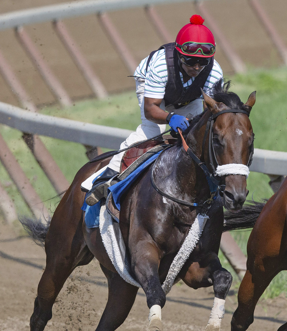 Delta Prince trains at Saratoga on Aug. 6