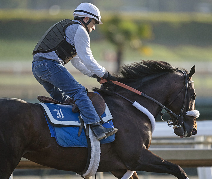 Delta Prince trains at Santa Anita on March 12