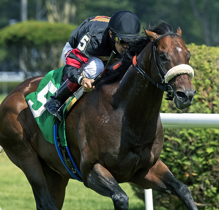 Delta Prince at Saratoga Race Course on Aug. 5, 2017