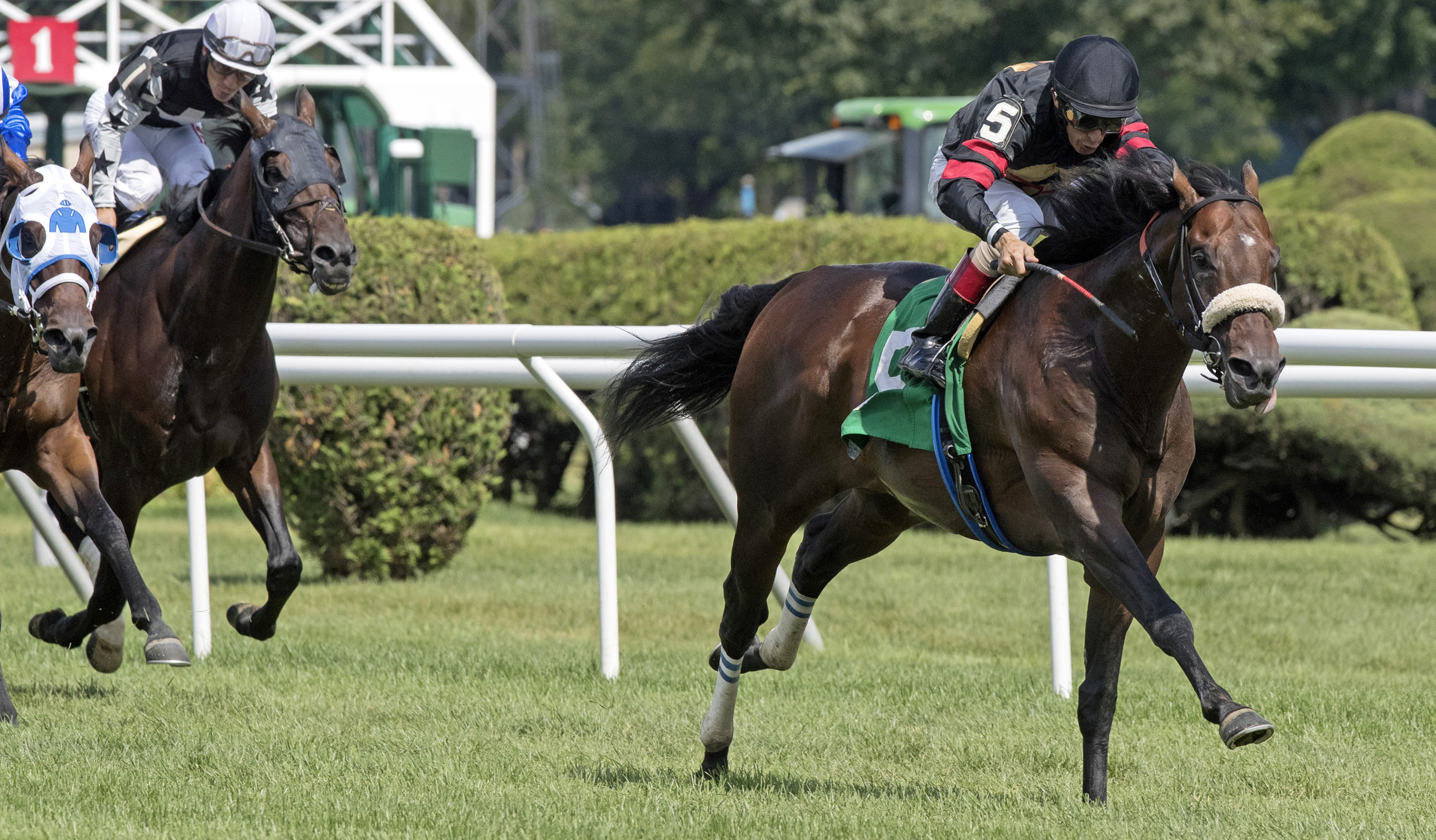 Delta Prince wins an Aug. 5 allowance race