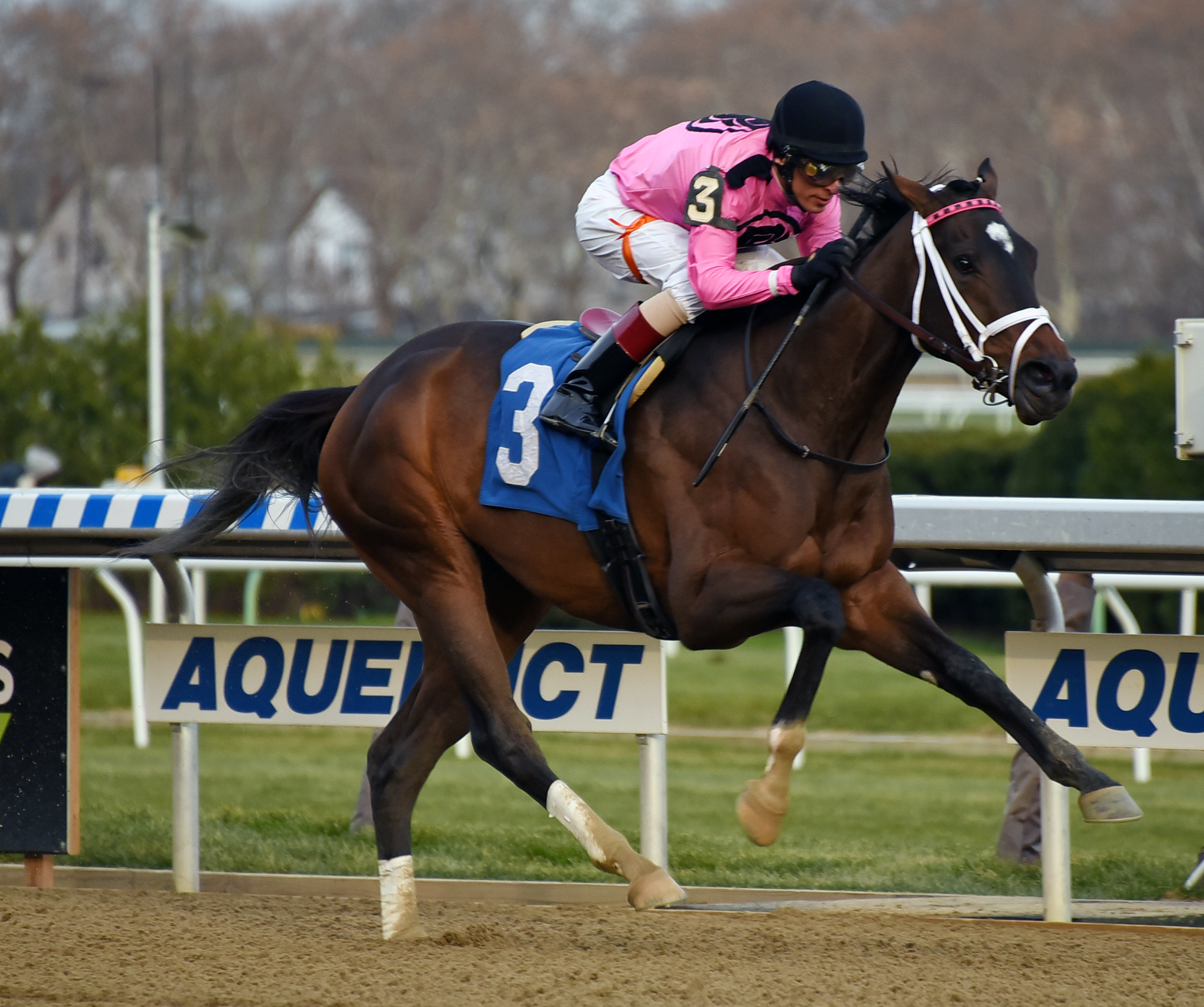 Wonder Gadot wins the 2017 Demoiselle