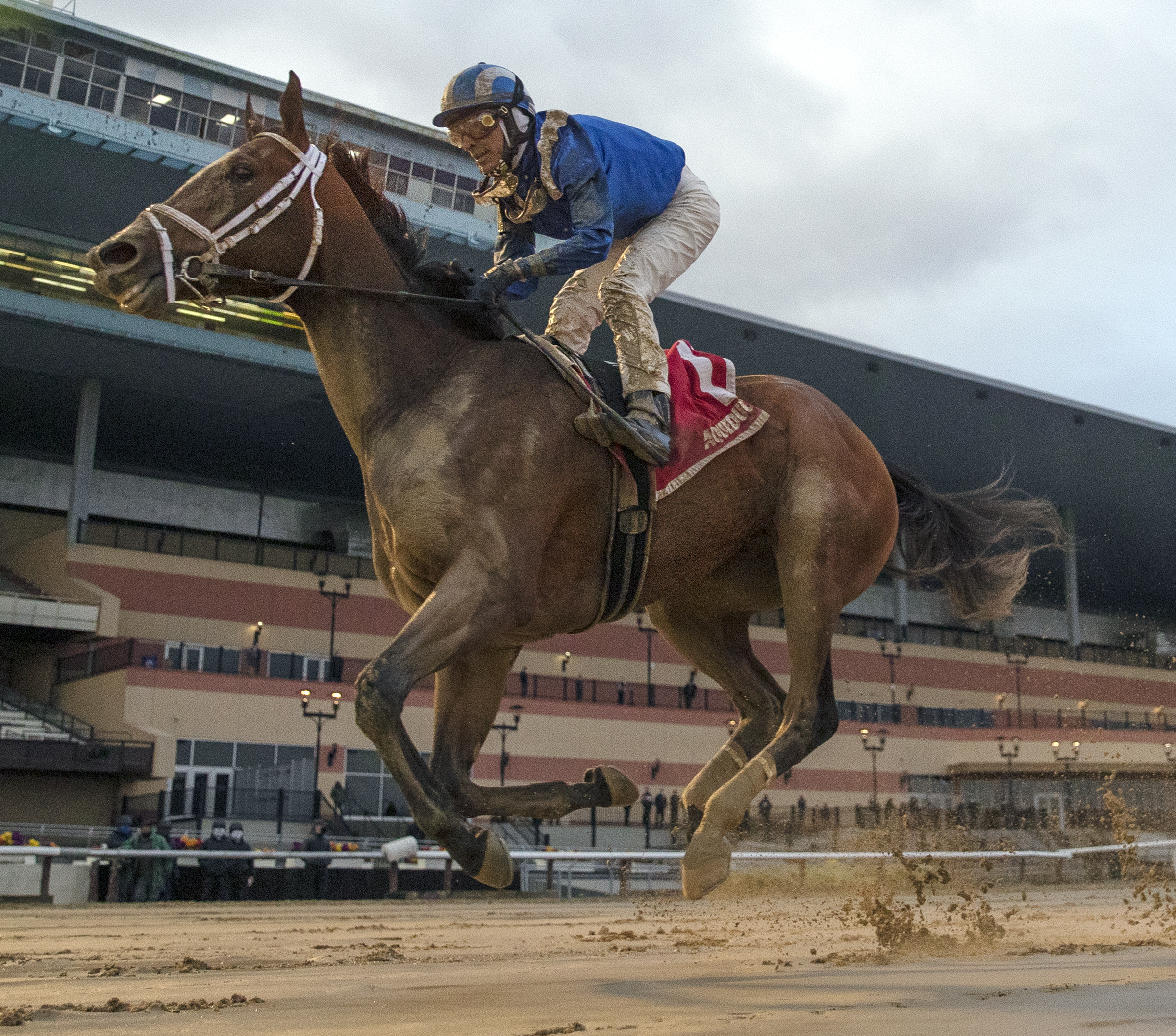 Malathaat wins Demoiselle 12-5-2020