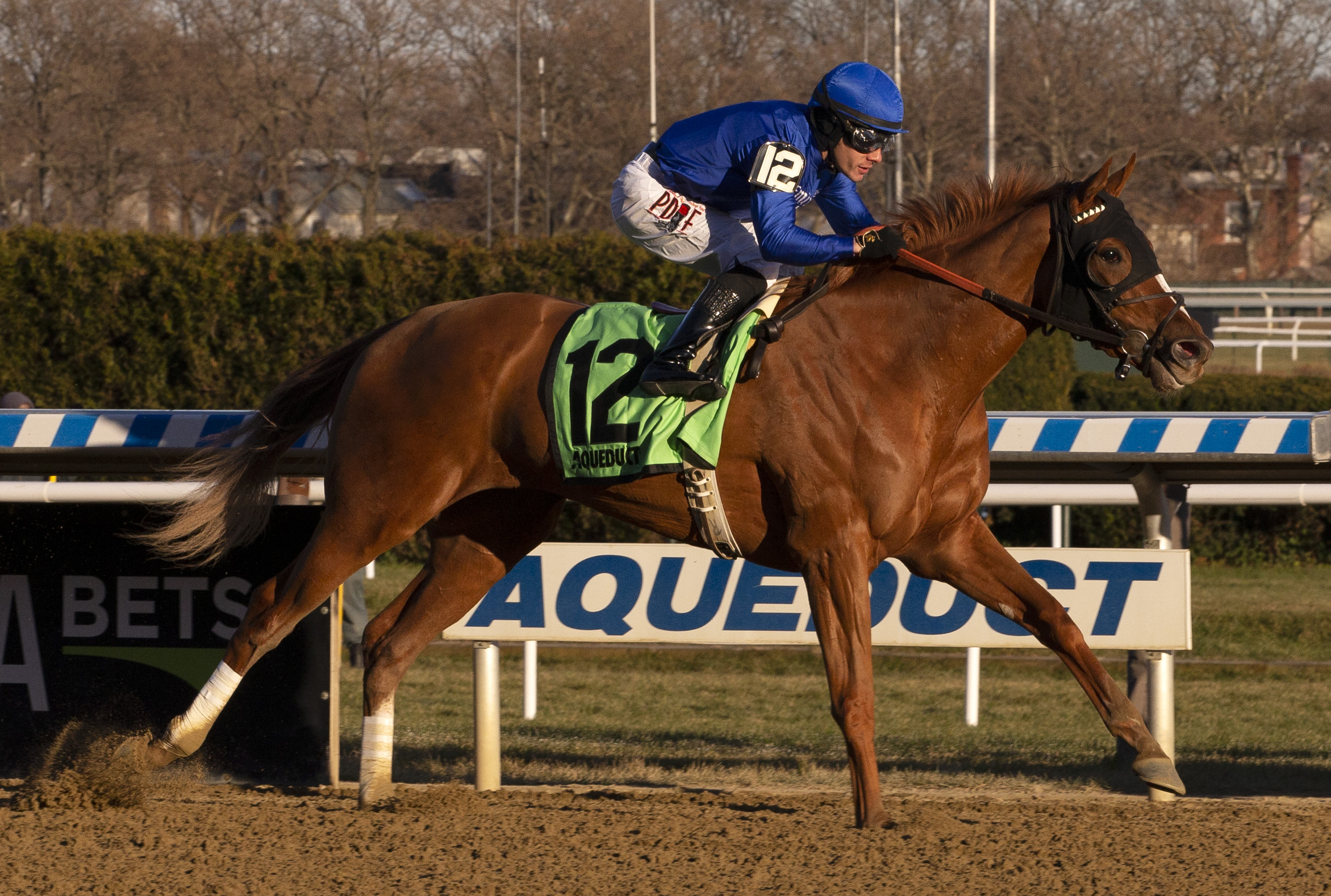 Lake Avenue wins the 2019 Demoiselle Stakes