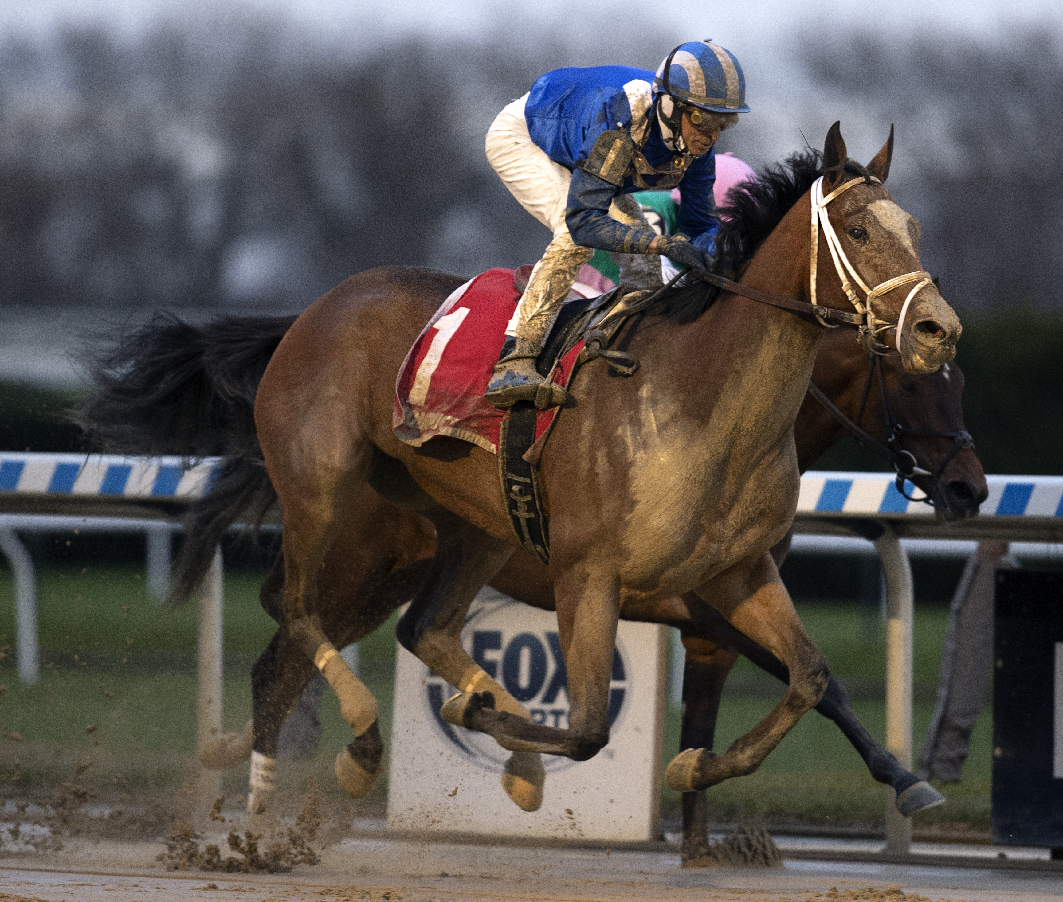 Malathaat wins Demoiselle 12-5-2020