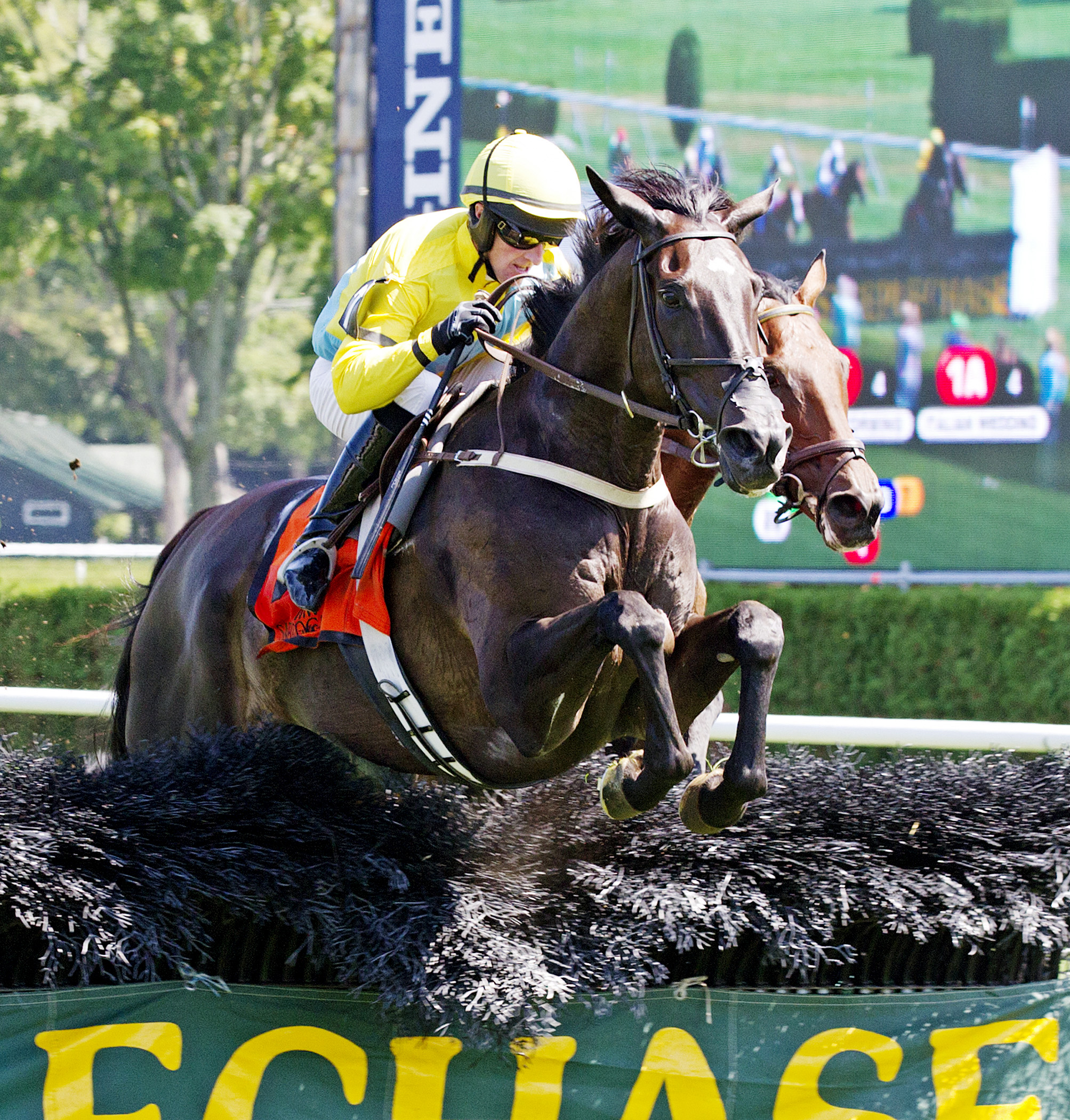 Demonstrative wins the New York Turf Writers Cup