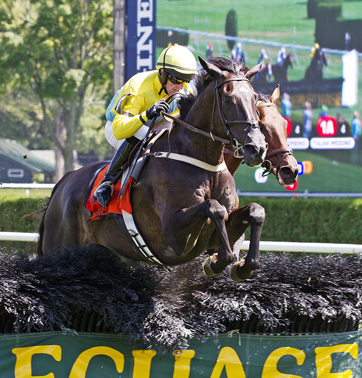 Demonstrative, under Robert Walsh, wins the N.Y. Turf Writers Cup Stakes