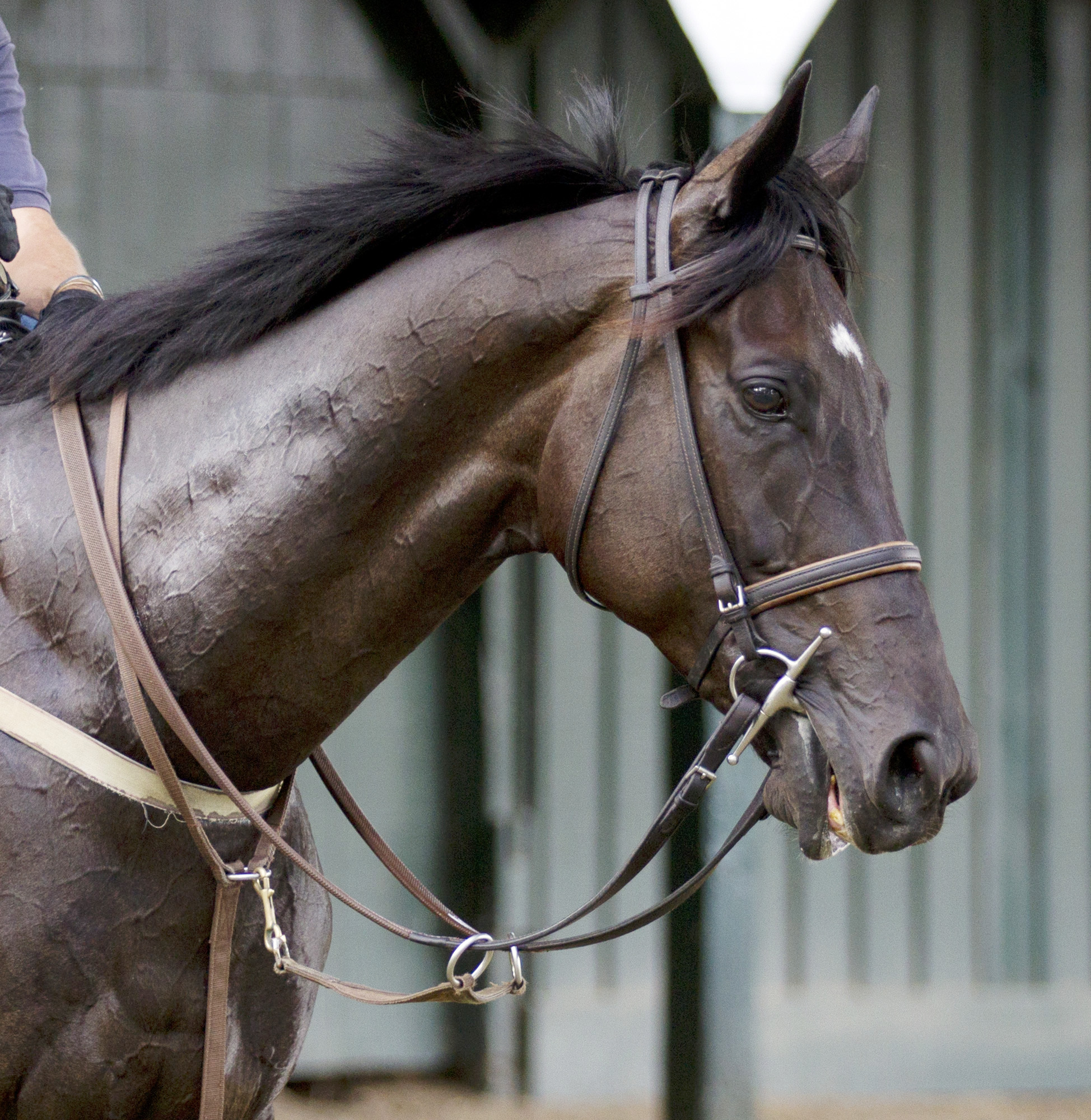 Demonstrative