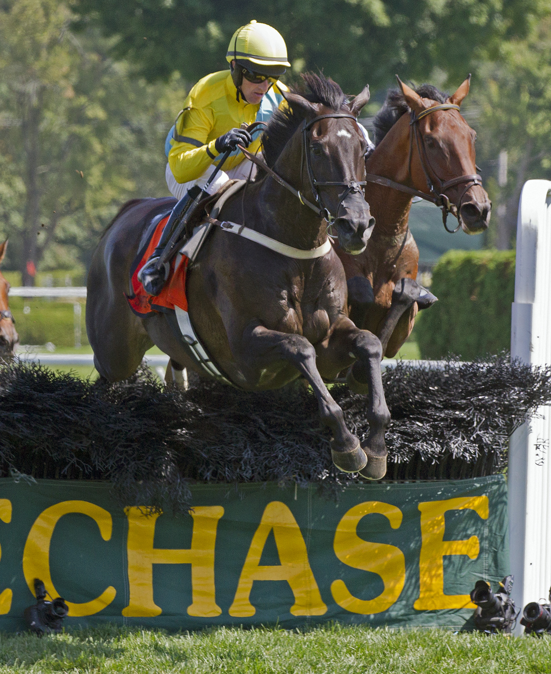 Demonstrative