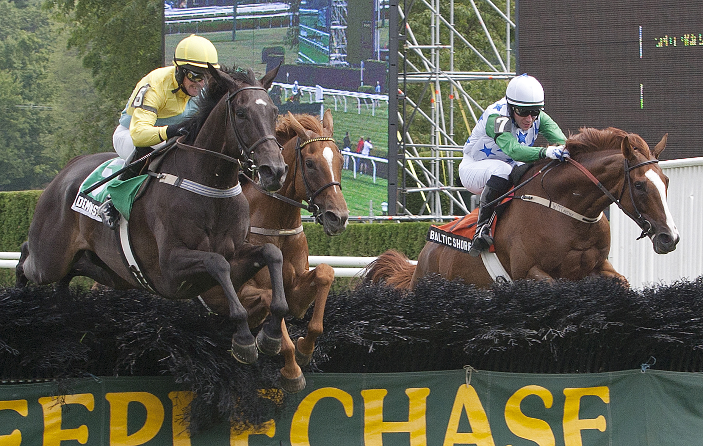 Demonstrative/Jonathan Kiser Novice Stakes
