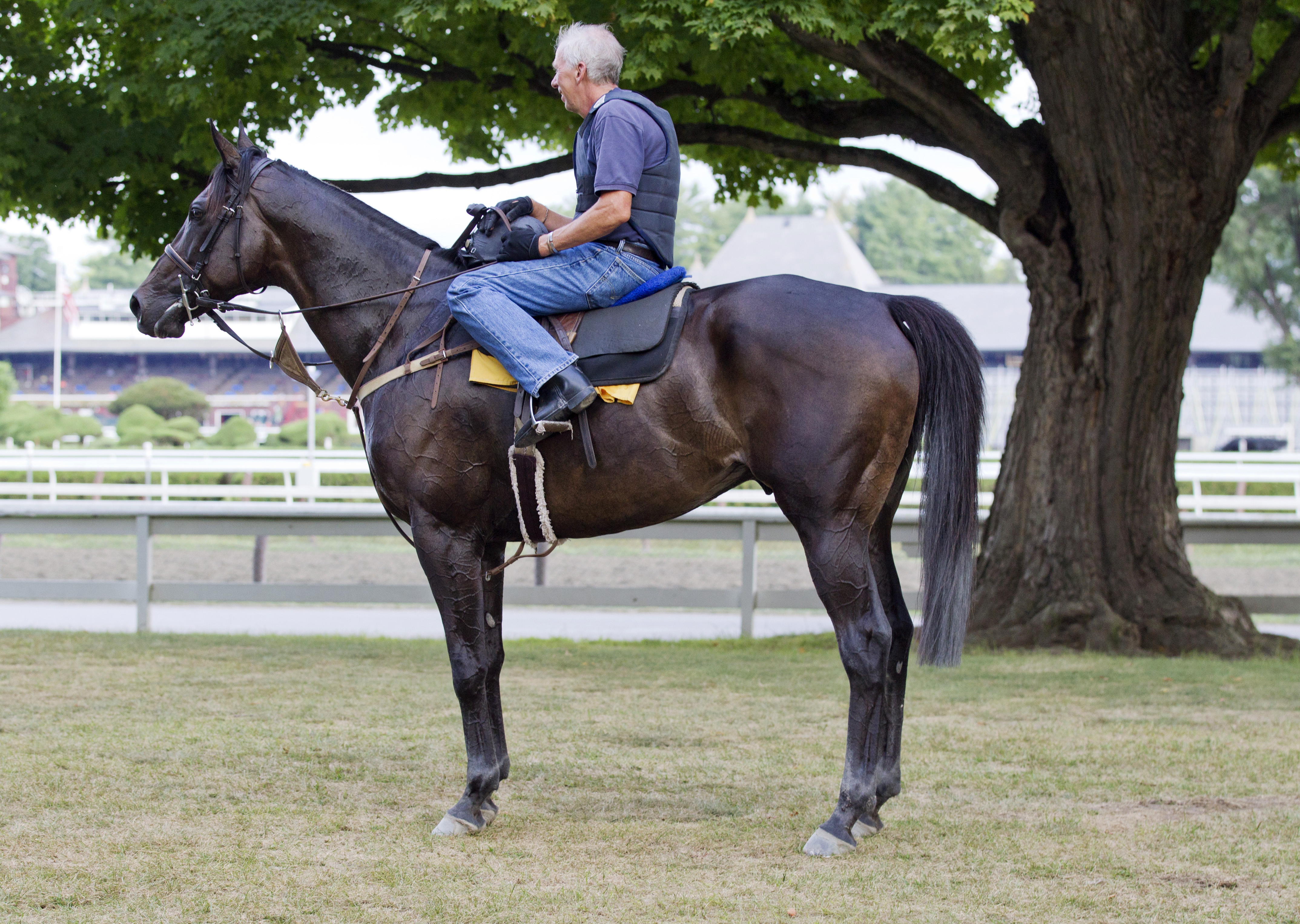 Demonstrative in August 2015