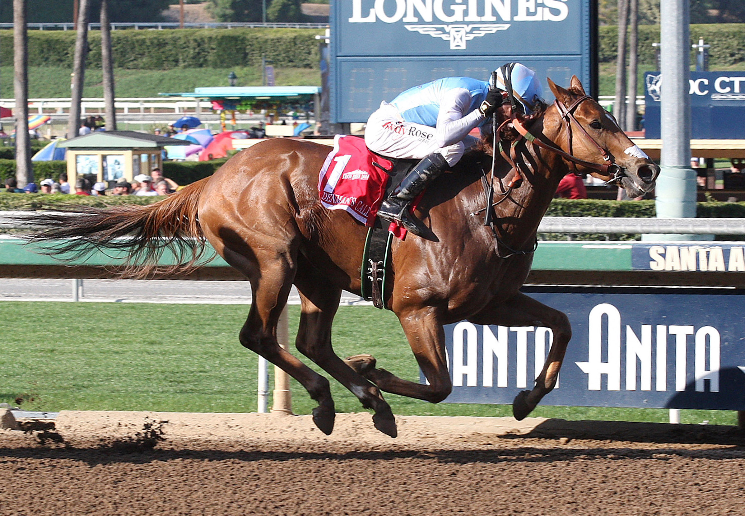 Denman's Call wins the Triple Bend Stakes