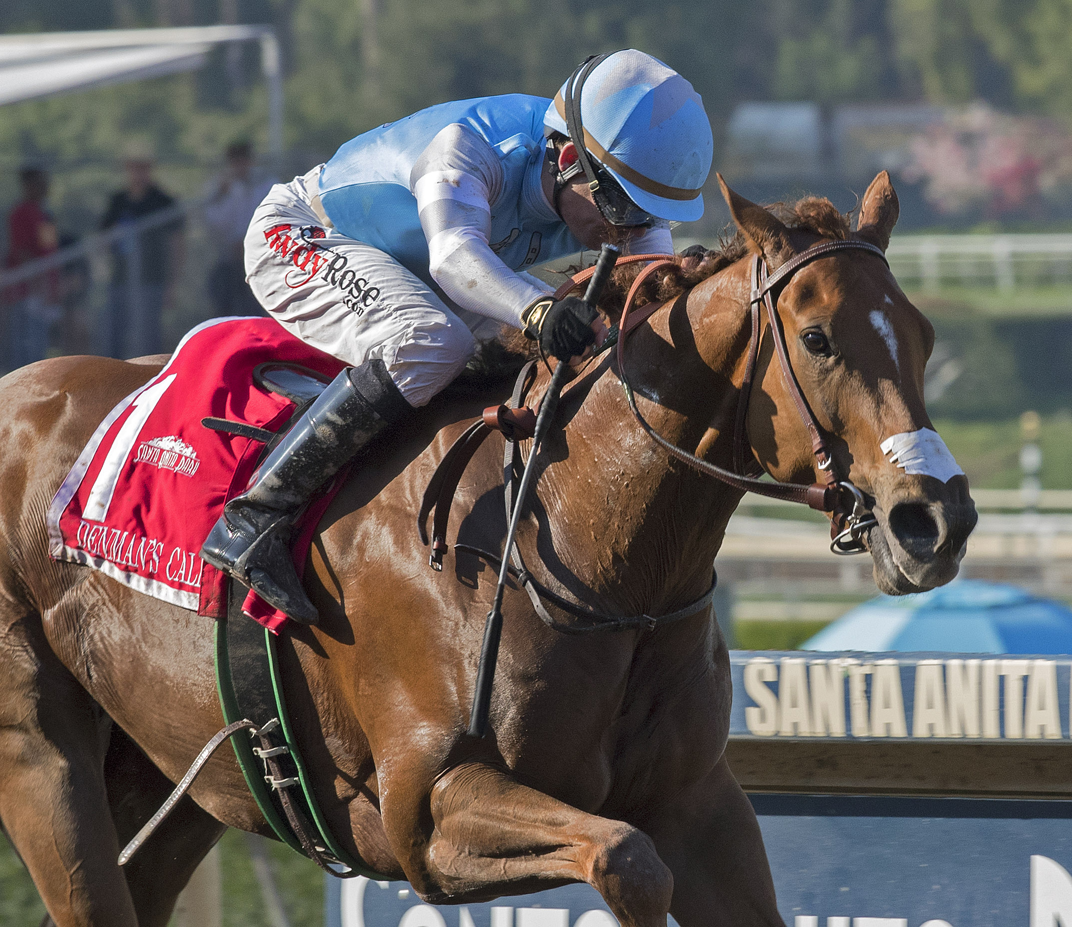 Denman's Call wins the Triple Bend Stakes