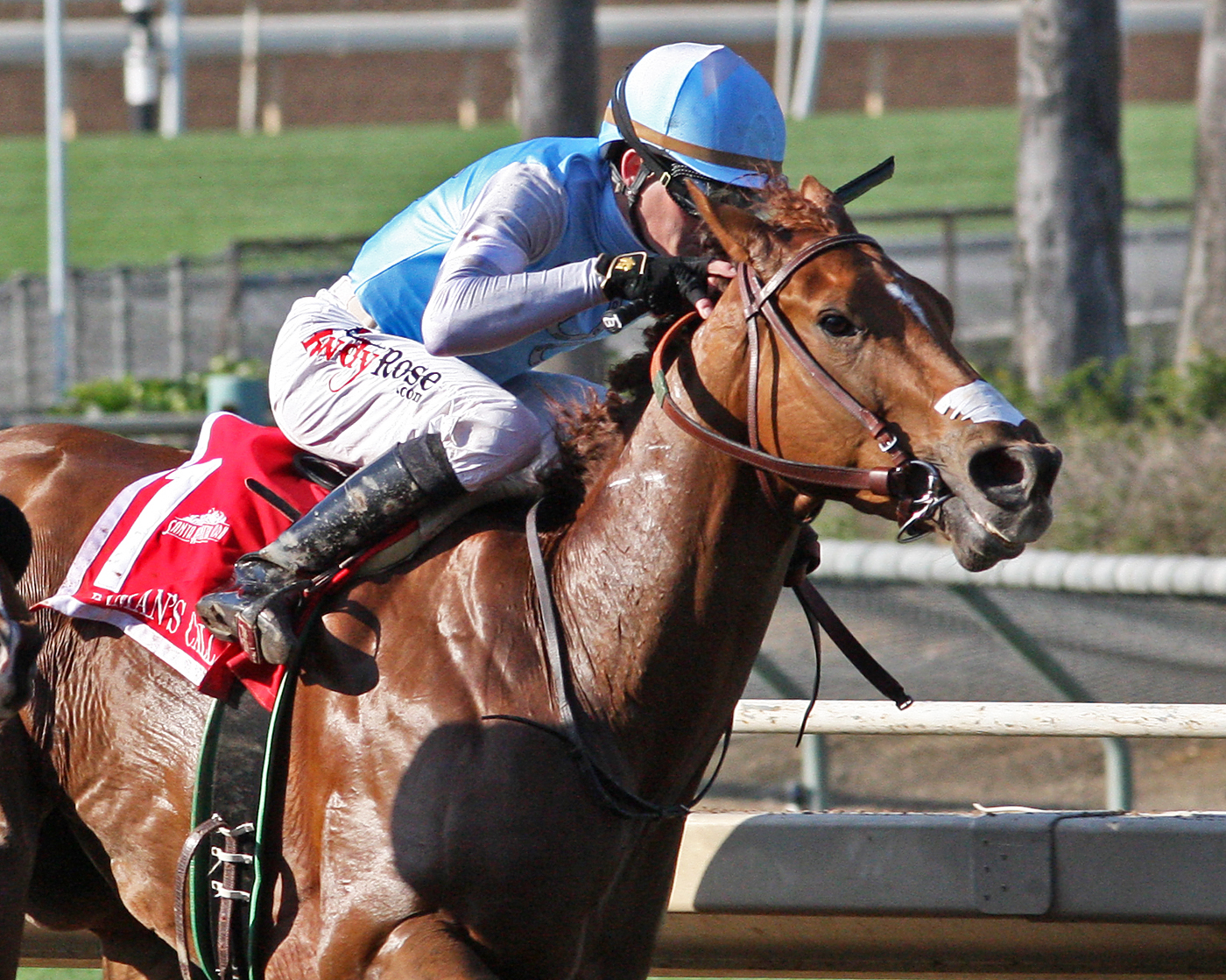 Denman's Call 3-11-2017